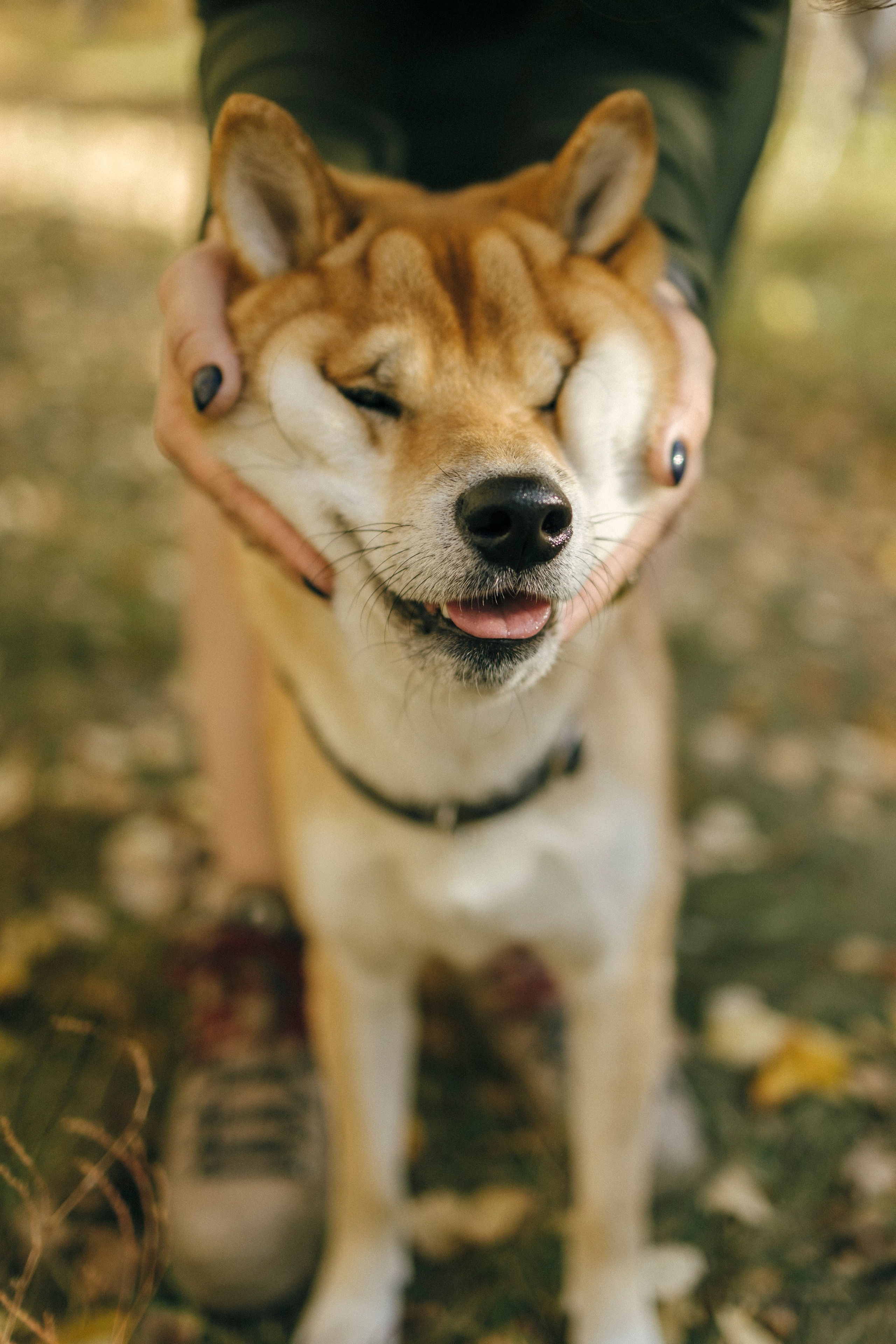 Алексей и Анастасия. Свадебный и портретный фотограф Тюмень