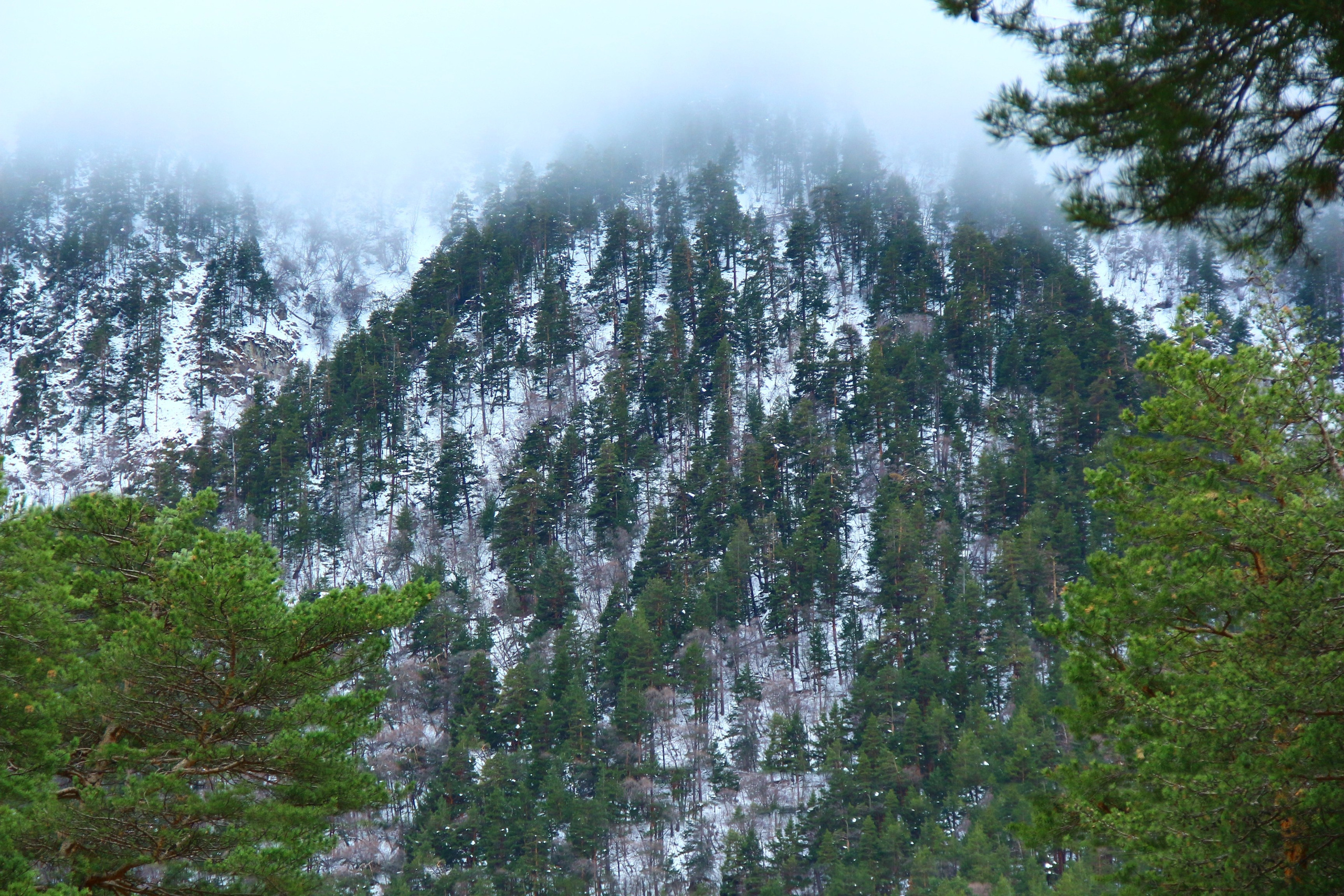 Лучше гор могут быть только горы…. Фотограф из Донецка Александр Турко