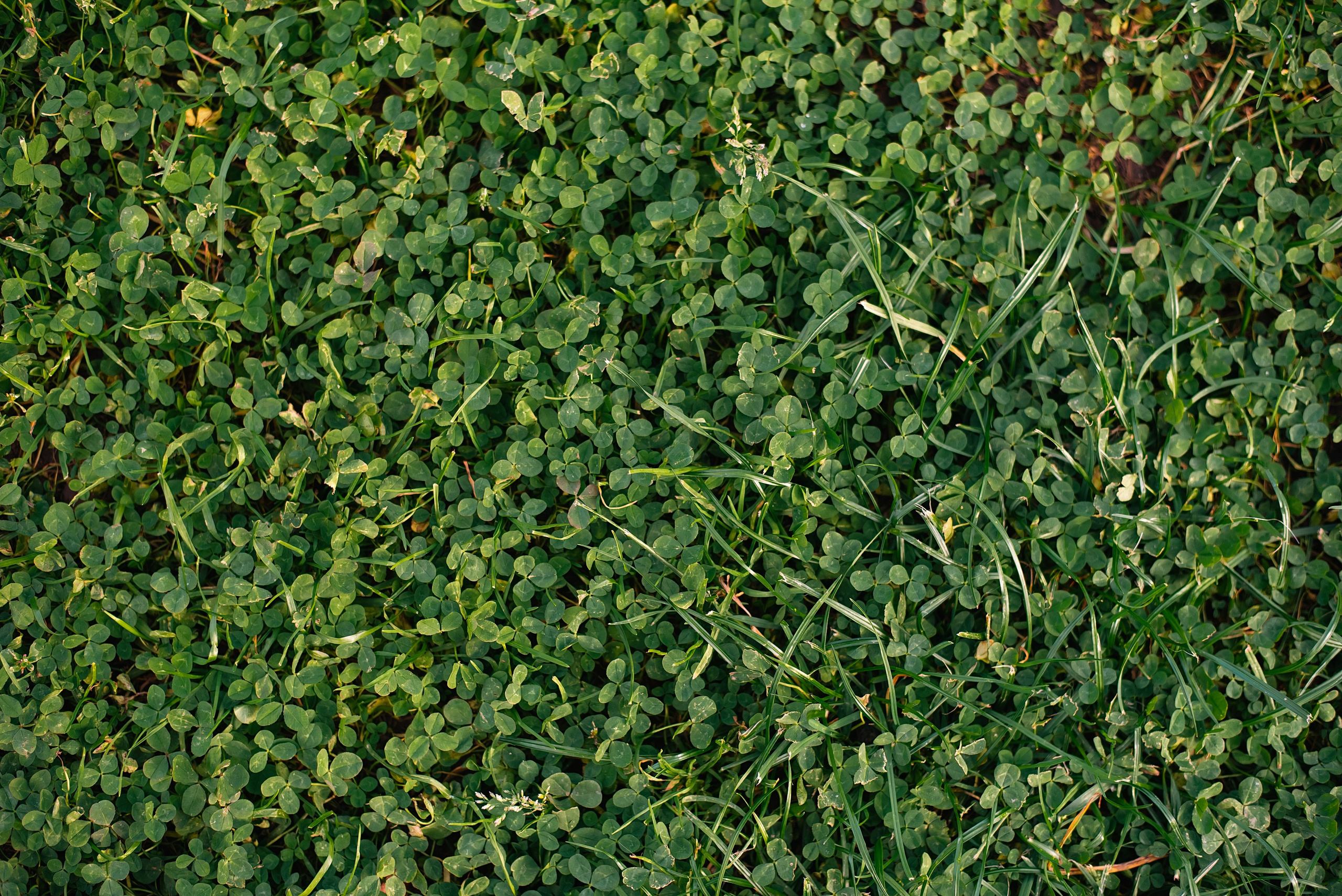 Царицыно. Фотограф, визажист. Москва