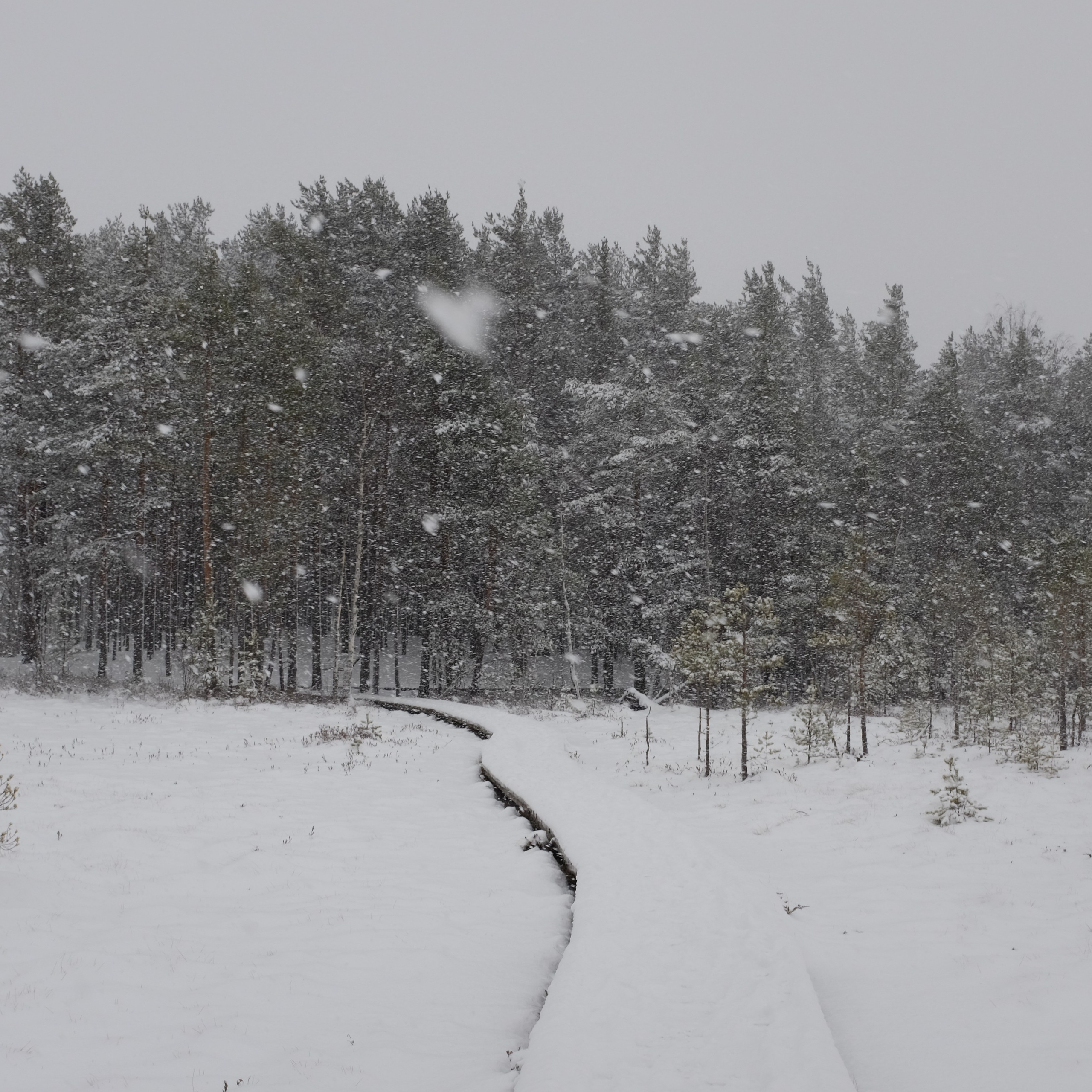 #мелкийжемчуг. Ольга Шкотова документальный фотограф