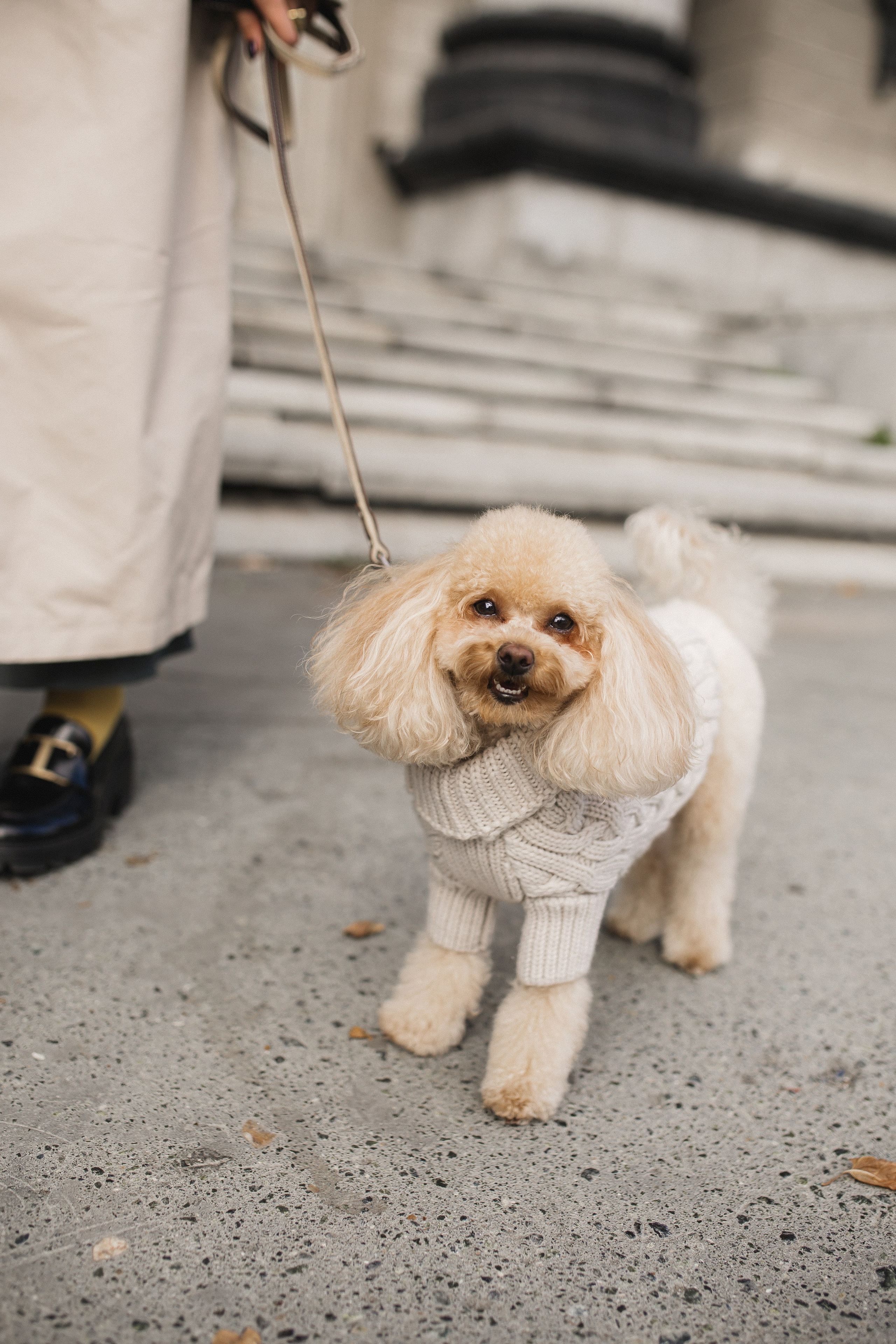 Наташа и Антон, Найда и Инди. Семейный и свадебный фотограф в Екатеринбурге Орлова Ирина