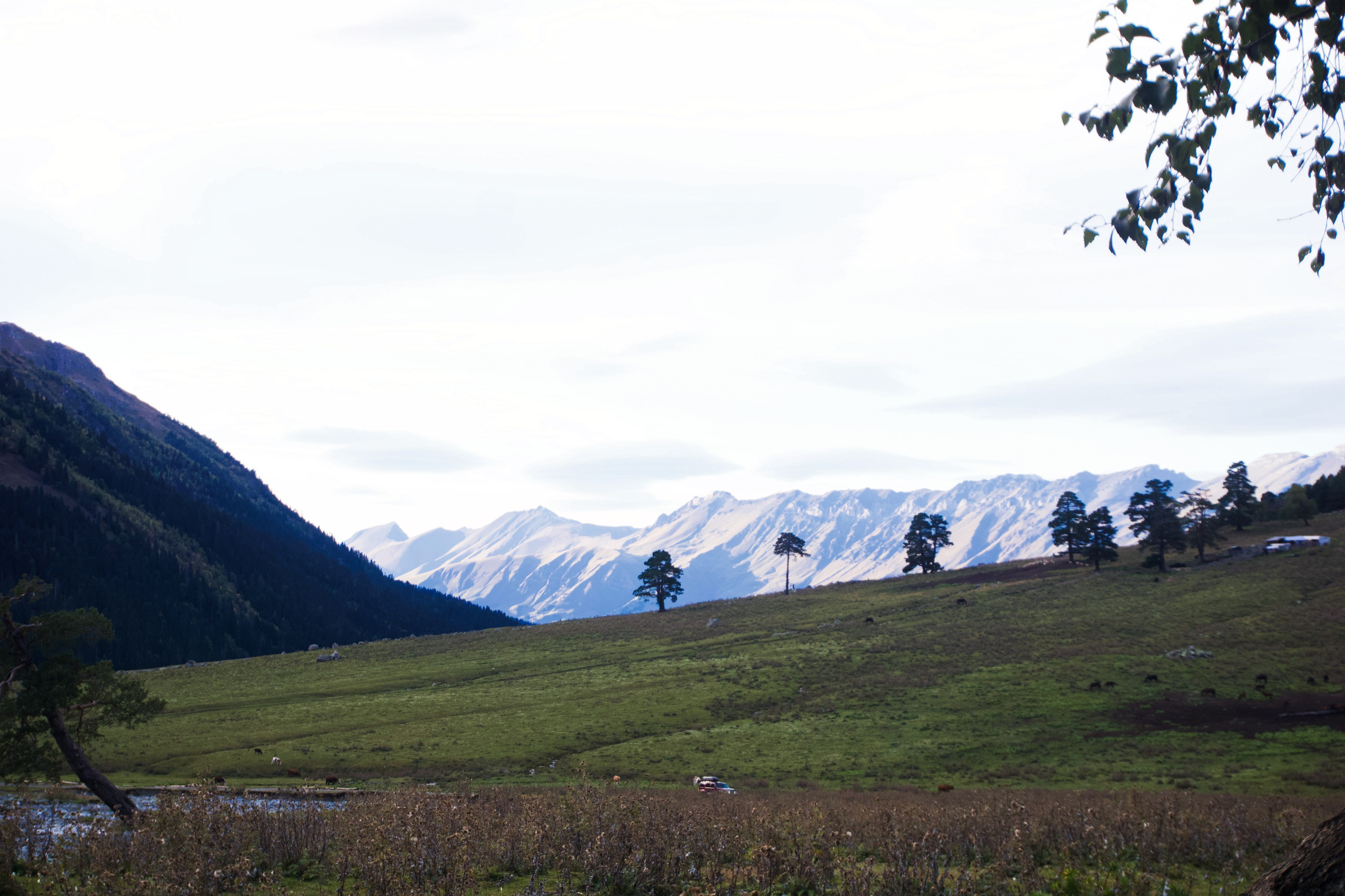 Кавказ. Анна Жукова — Режиссёр кино и цирка, сценарист, фотограф