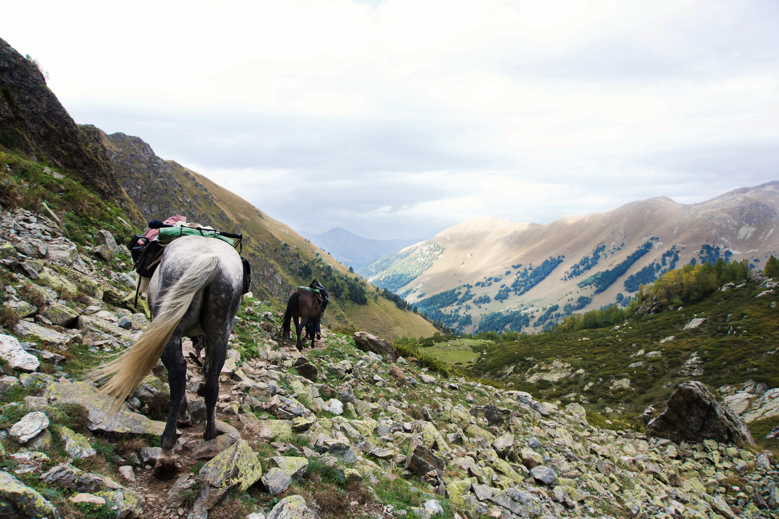 Кавказ. Анна Жукова — Режиссёр кино и цирка, сценарист, фотограф