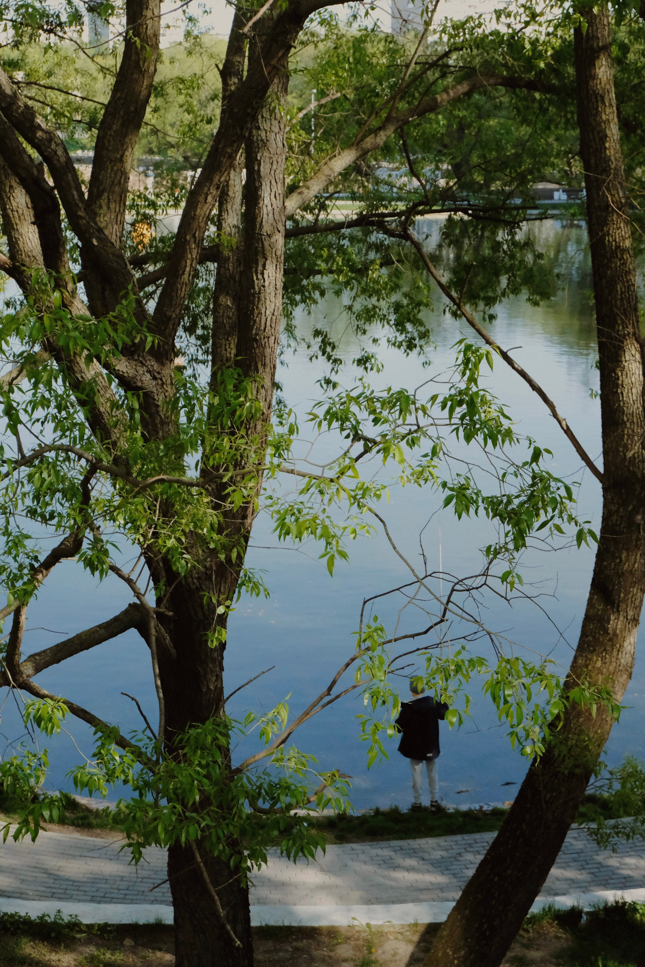Москва. Татьян гертье