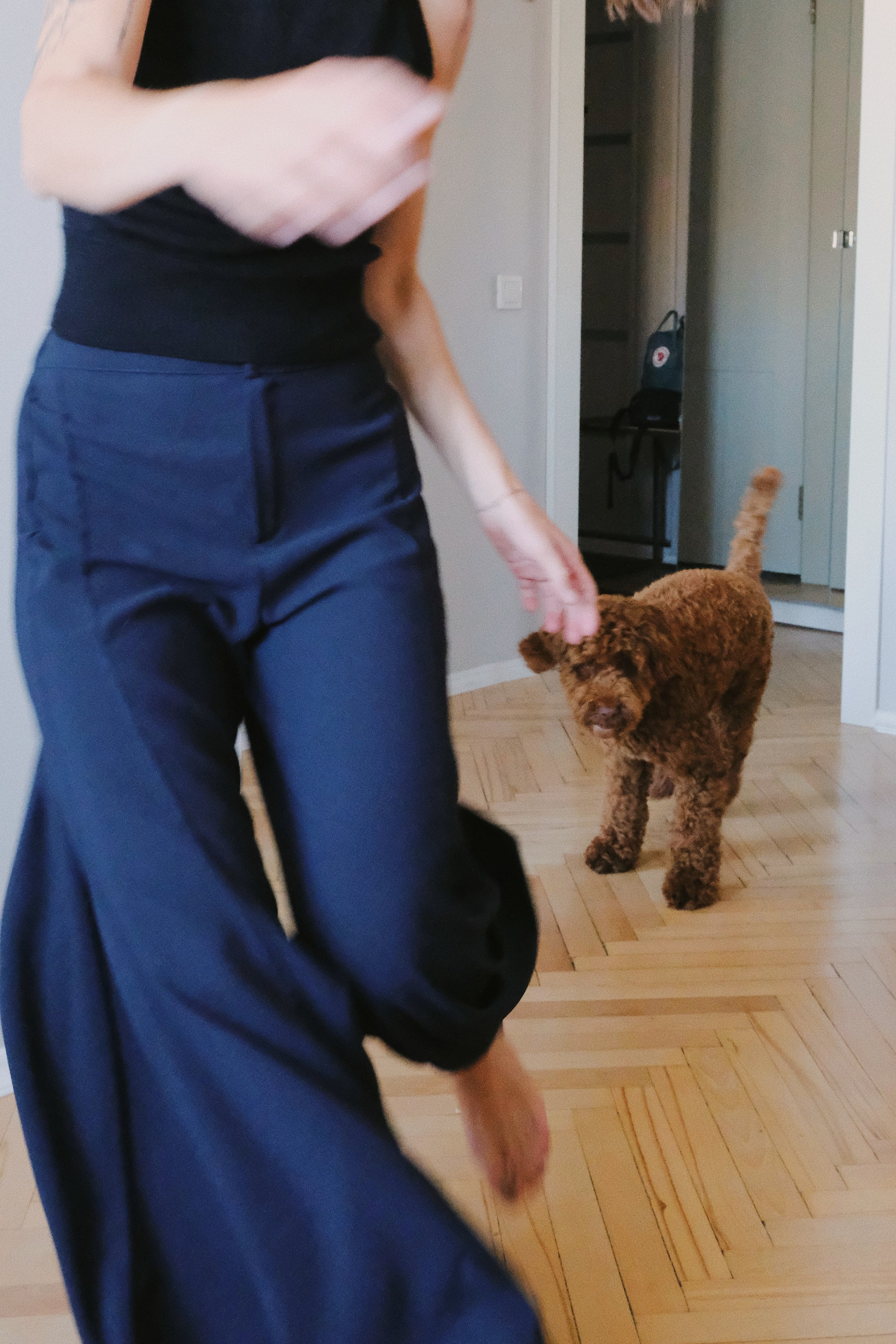 Питомцы. Татьян гертье