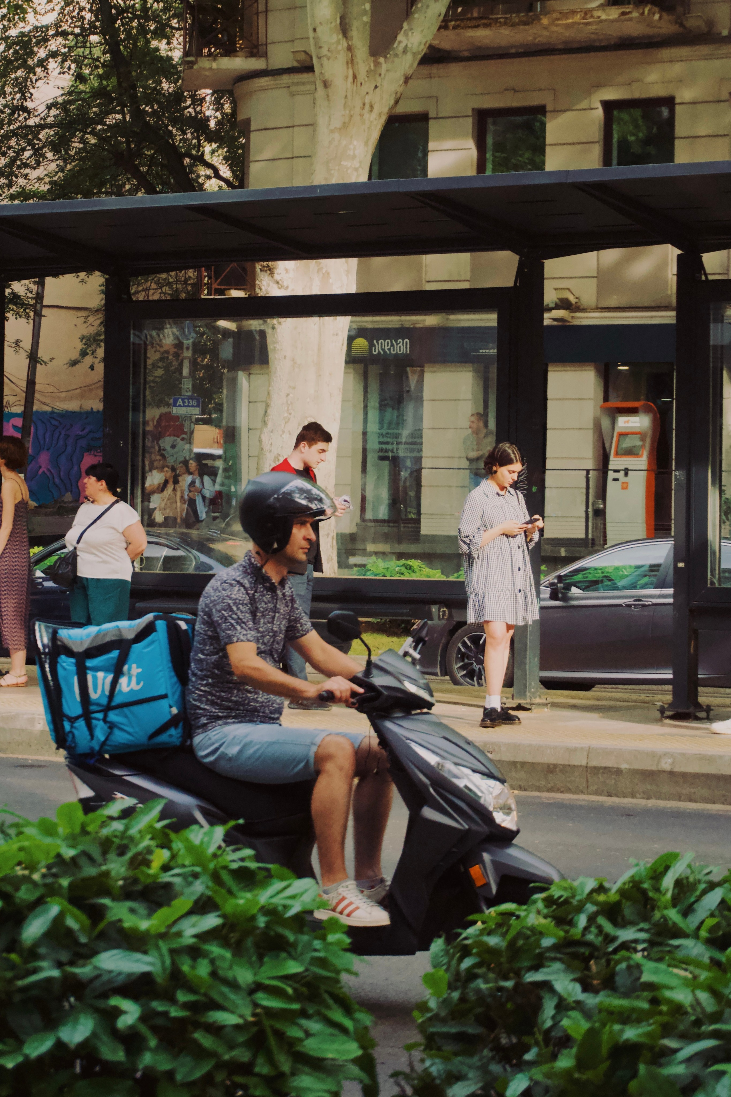 Тбилиси. Татьян гертье