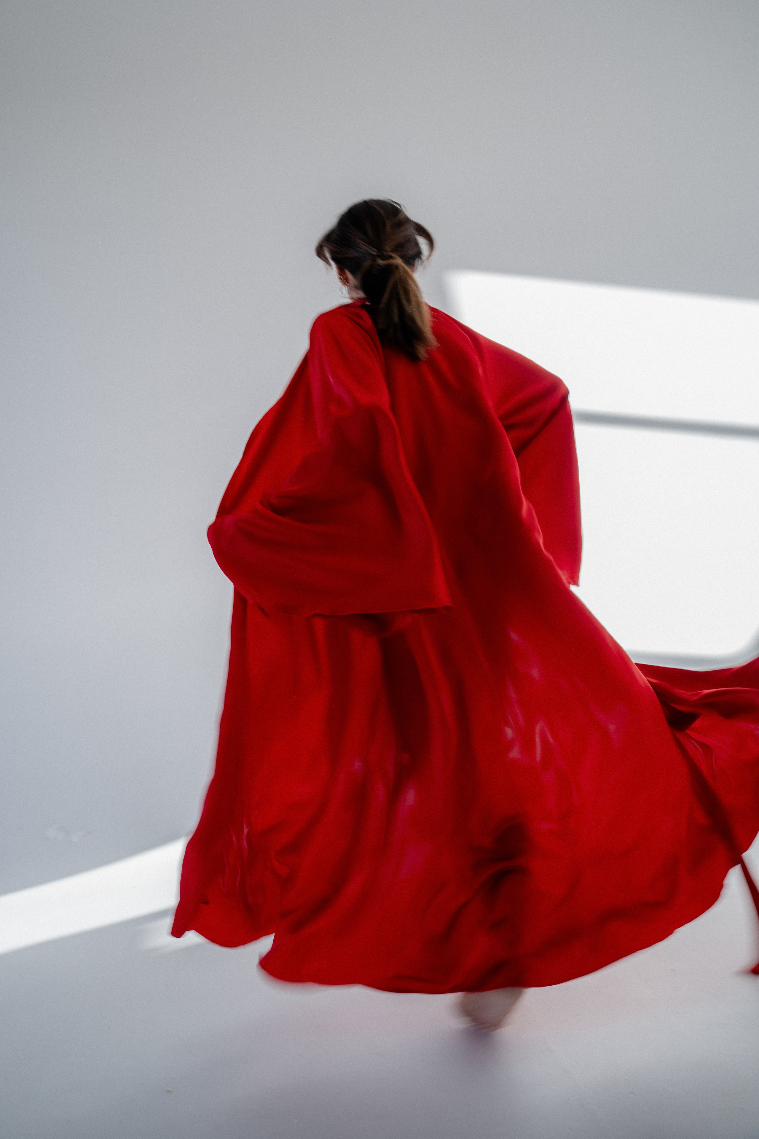 Юля и Гусь. Фотограф на мероприятие