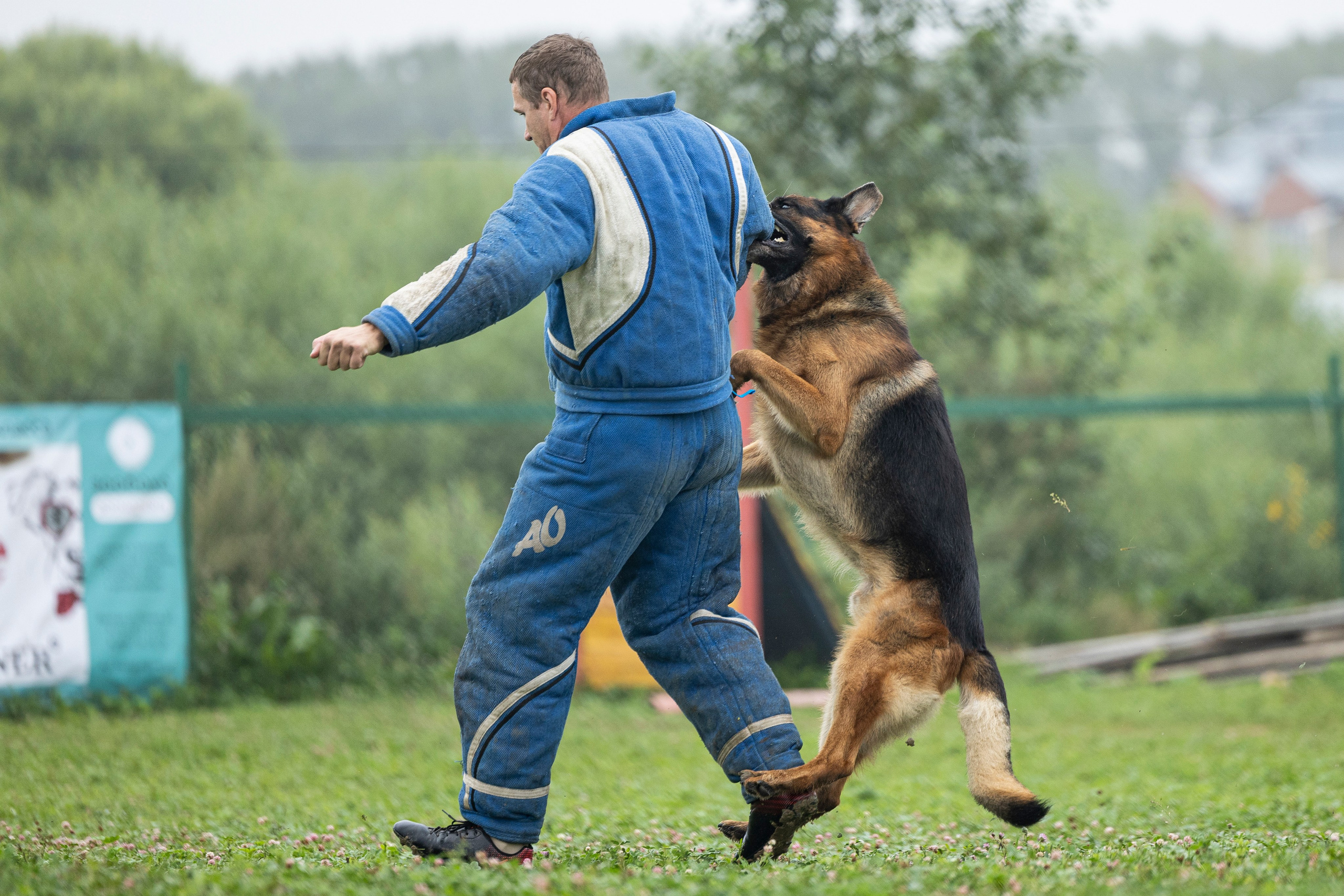 Соревнования по Мондьорингу г. Вологда 10-11.08.2024. Фотограф-анималист Анна Маринич