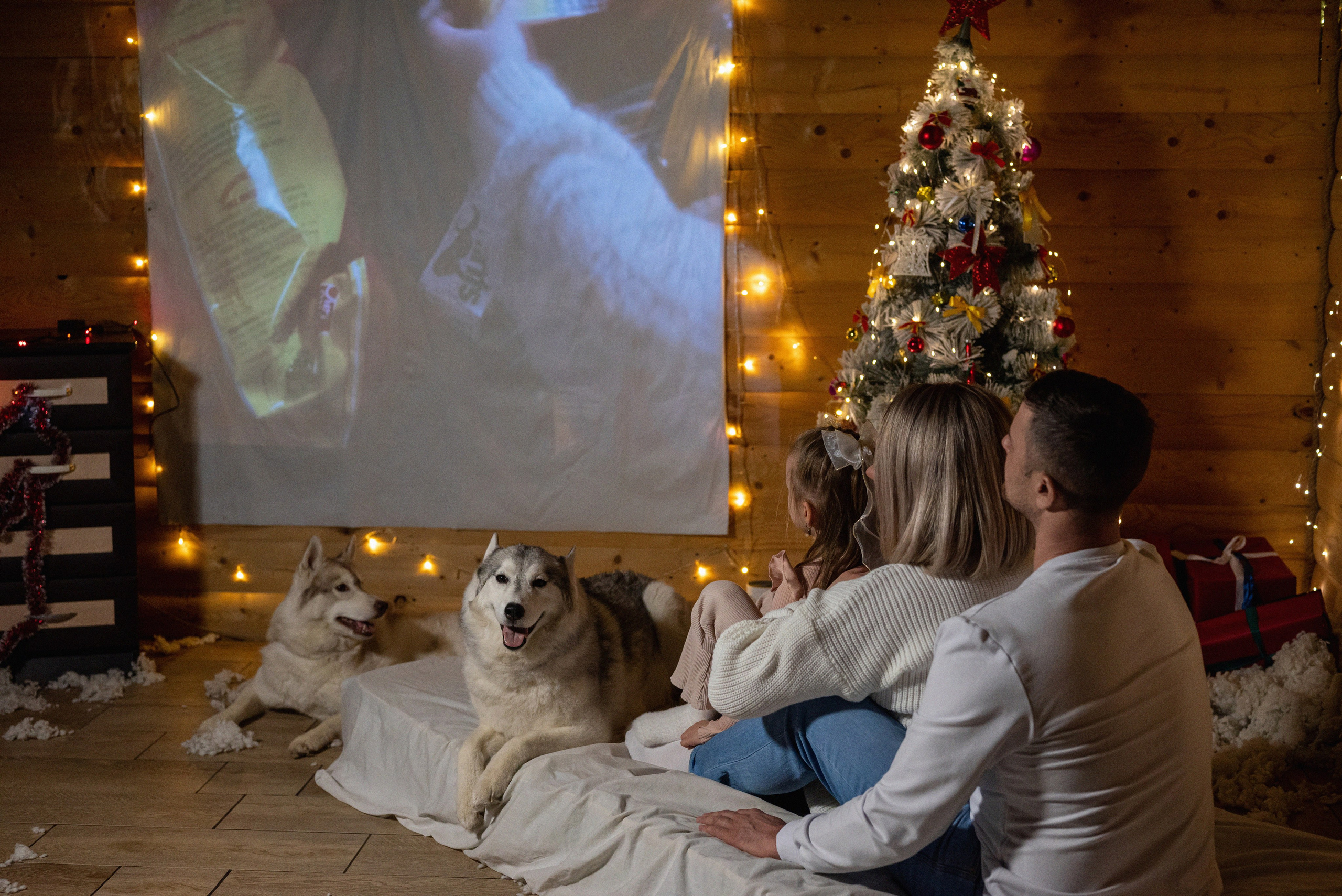 Фотопроект с хаски 2024 г. Фотограф в городе Салават