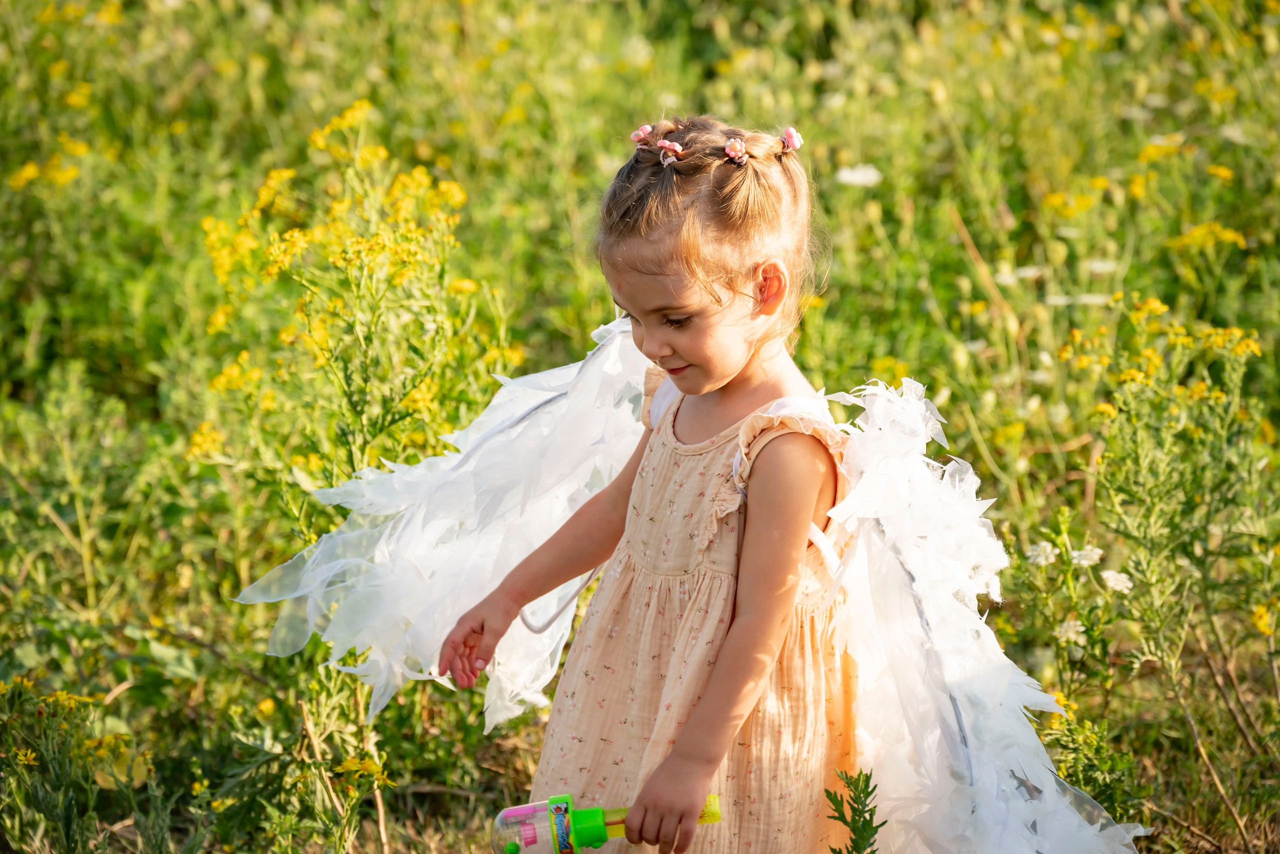 Летняя прогулка. Главная