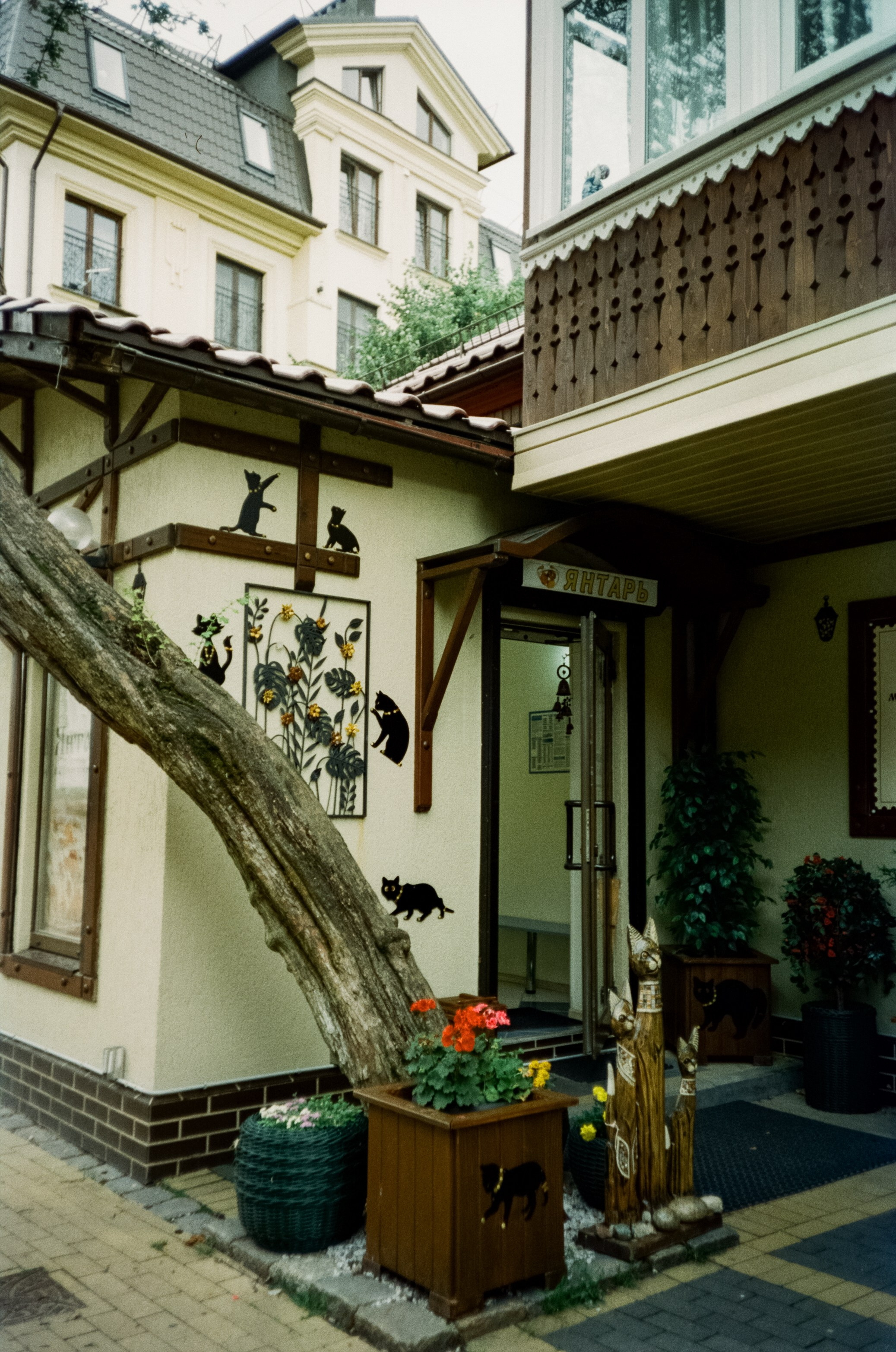 День в Зеленоградске. Суровая Балтика и пряничный кото-городок. Фотограф-документалист Мария Осокина