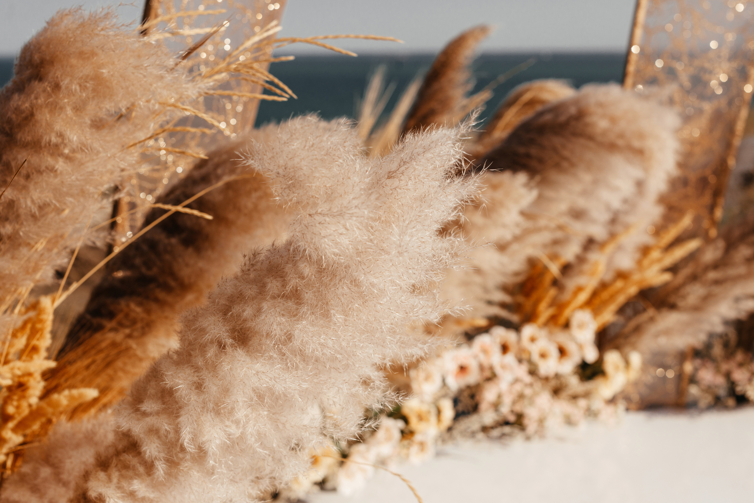 Анонс свадебного дня Влада и Маши. Свадебные, портретные и семейные фотографы в Петербурге