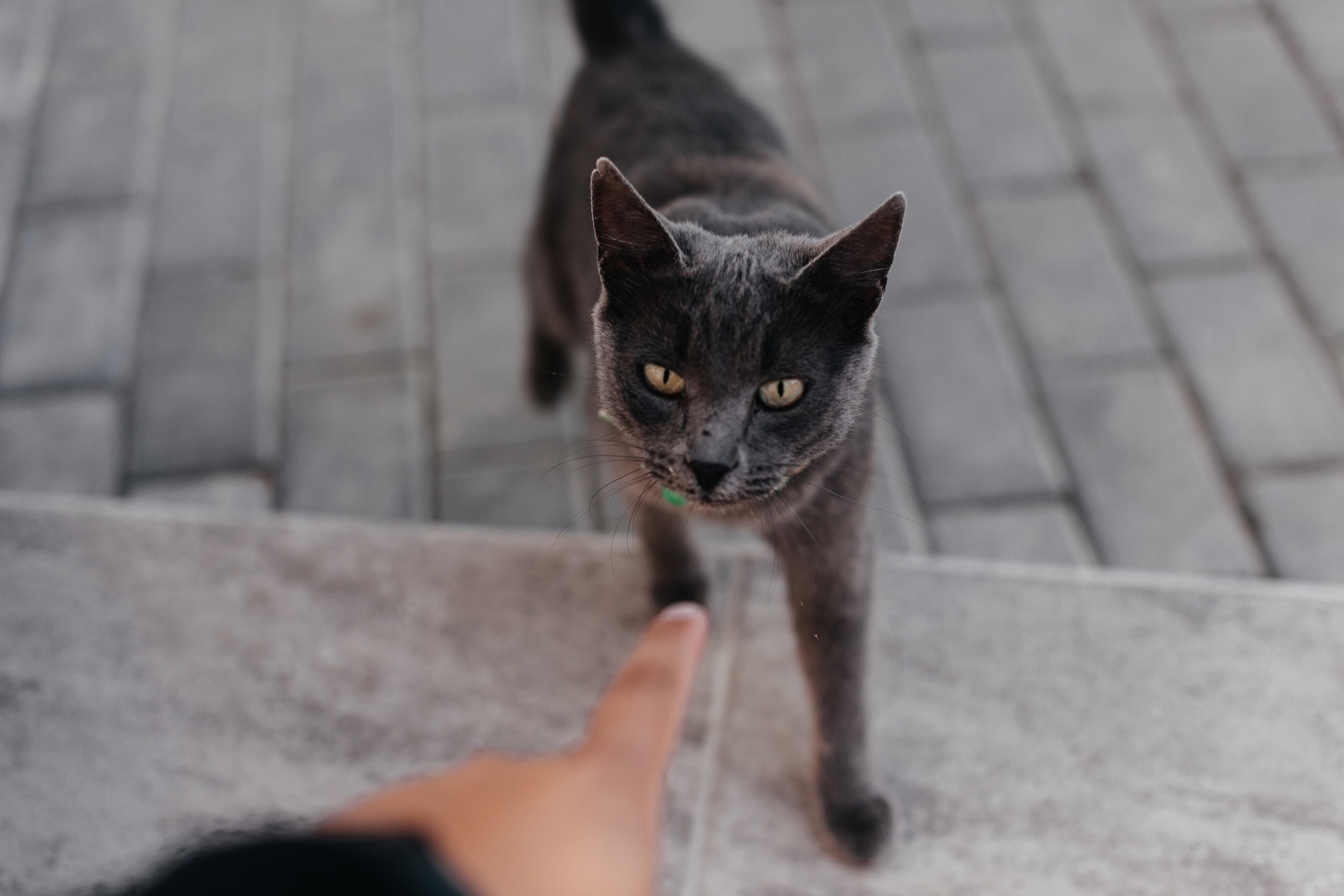 Анонс свадебного дня Влада и Маши. Свадебные, портретные и семейные фотографы в Петербурге