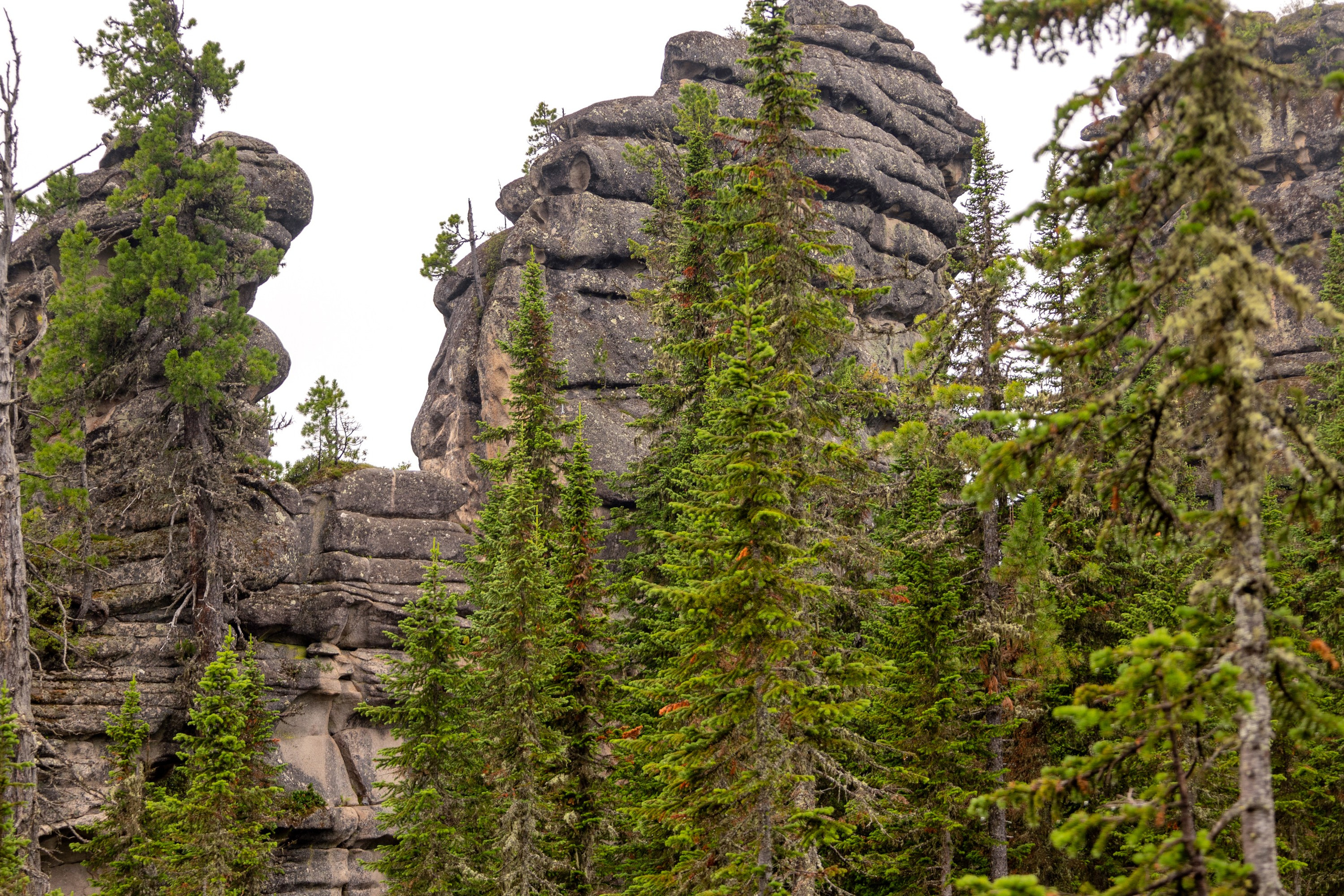 Ергаки. Семейный и детский фотограф в Красноярске, Дивногорцева Светлана
