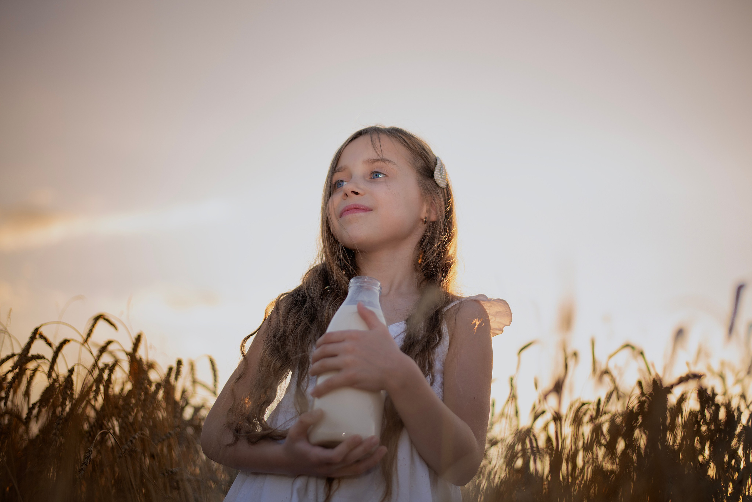 Поле пшеницы. Главная