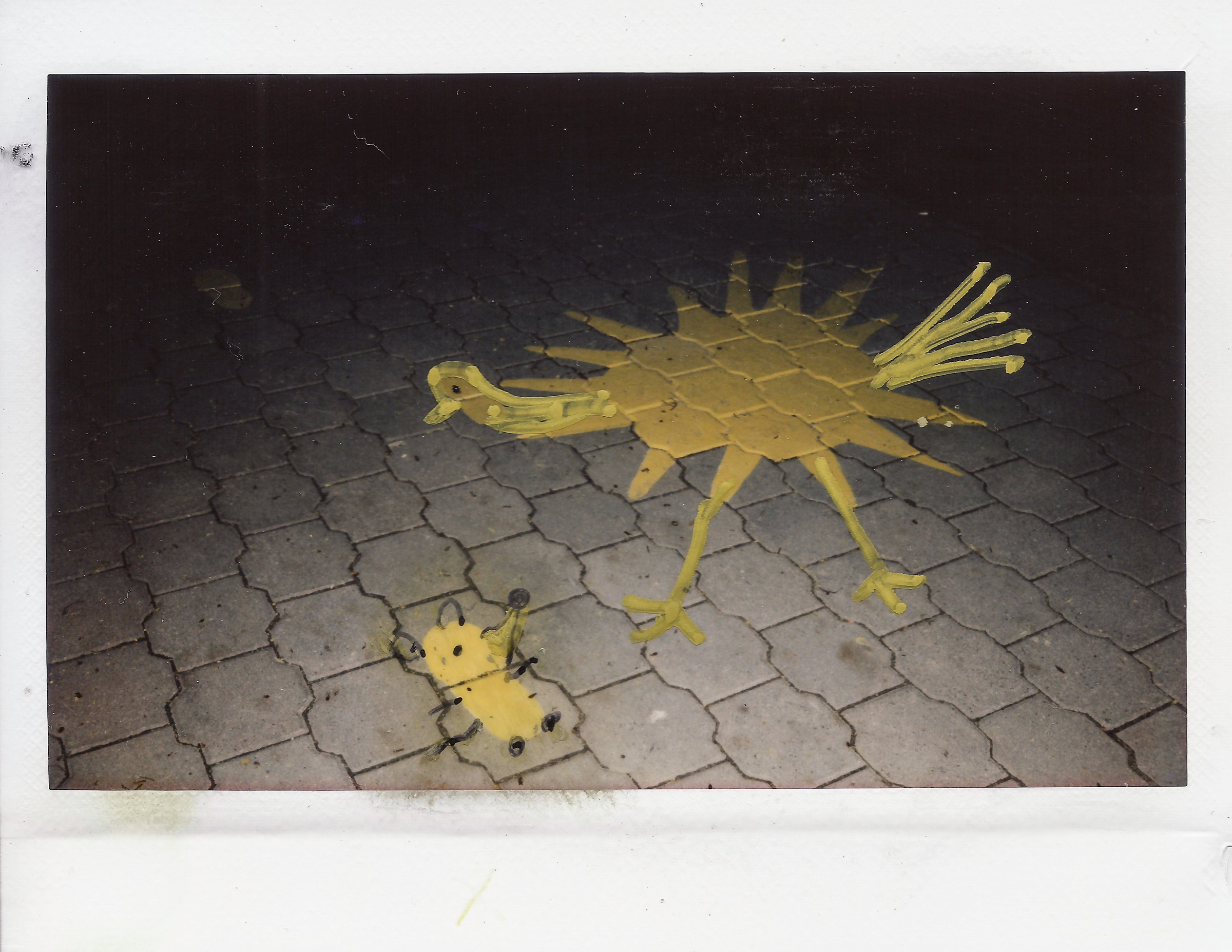 Space Yard. Photographer, Documentary and Art