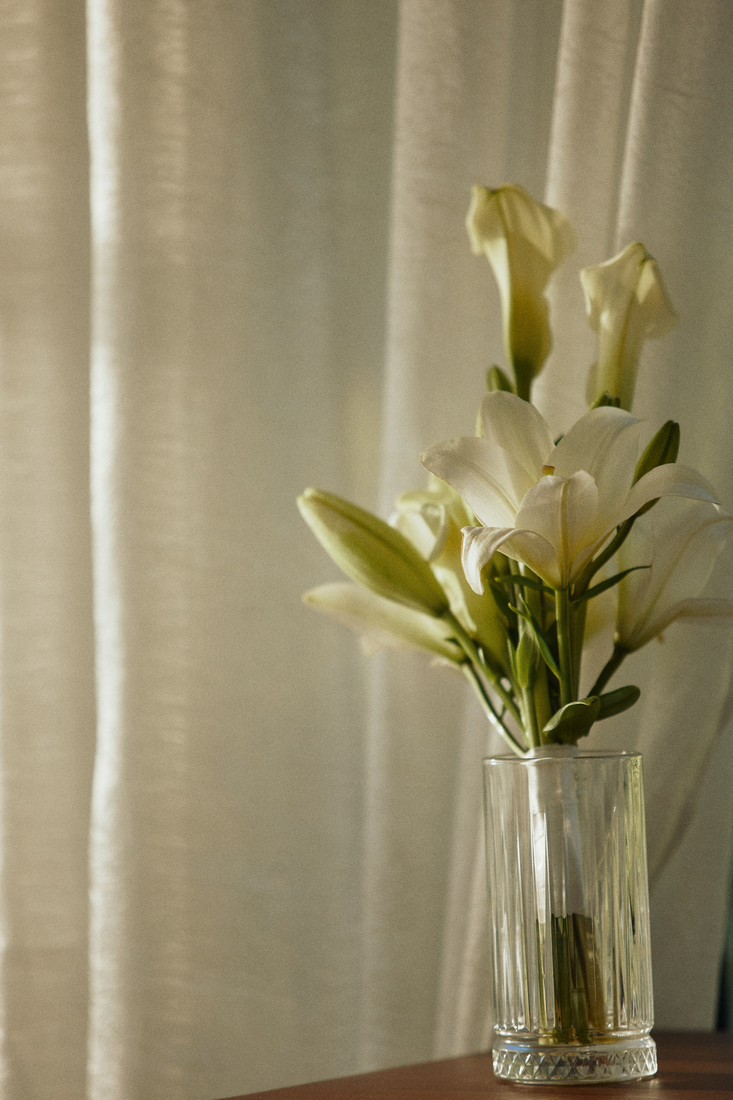 THE GRAND BUDAPEST. Дмитрий Мазуркевич: Профессиональный Репортажный Фотограф