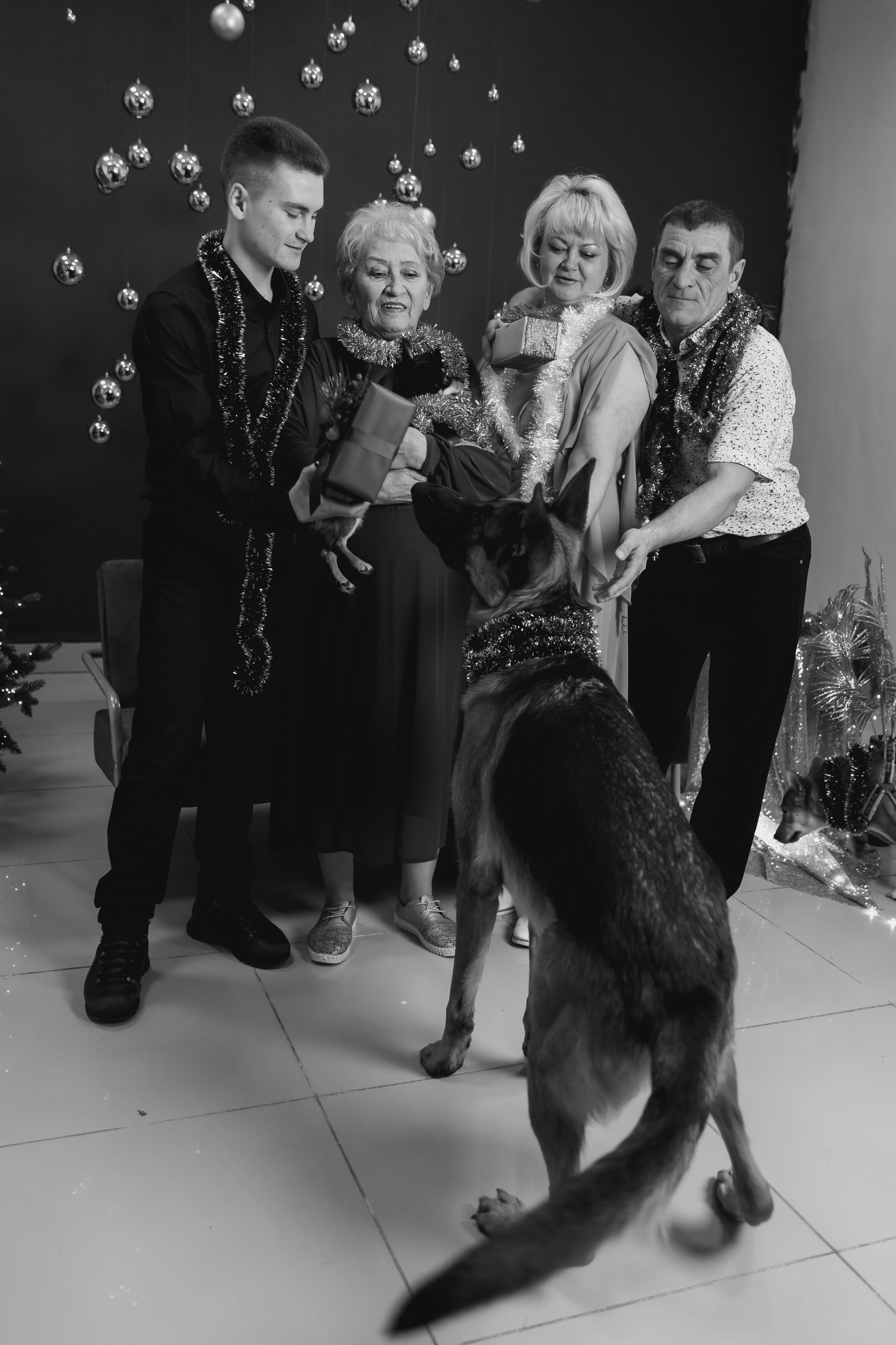 Семейный портрет. Новый год. Фотограф во Владивостоке. Юрганова Анна