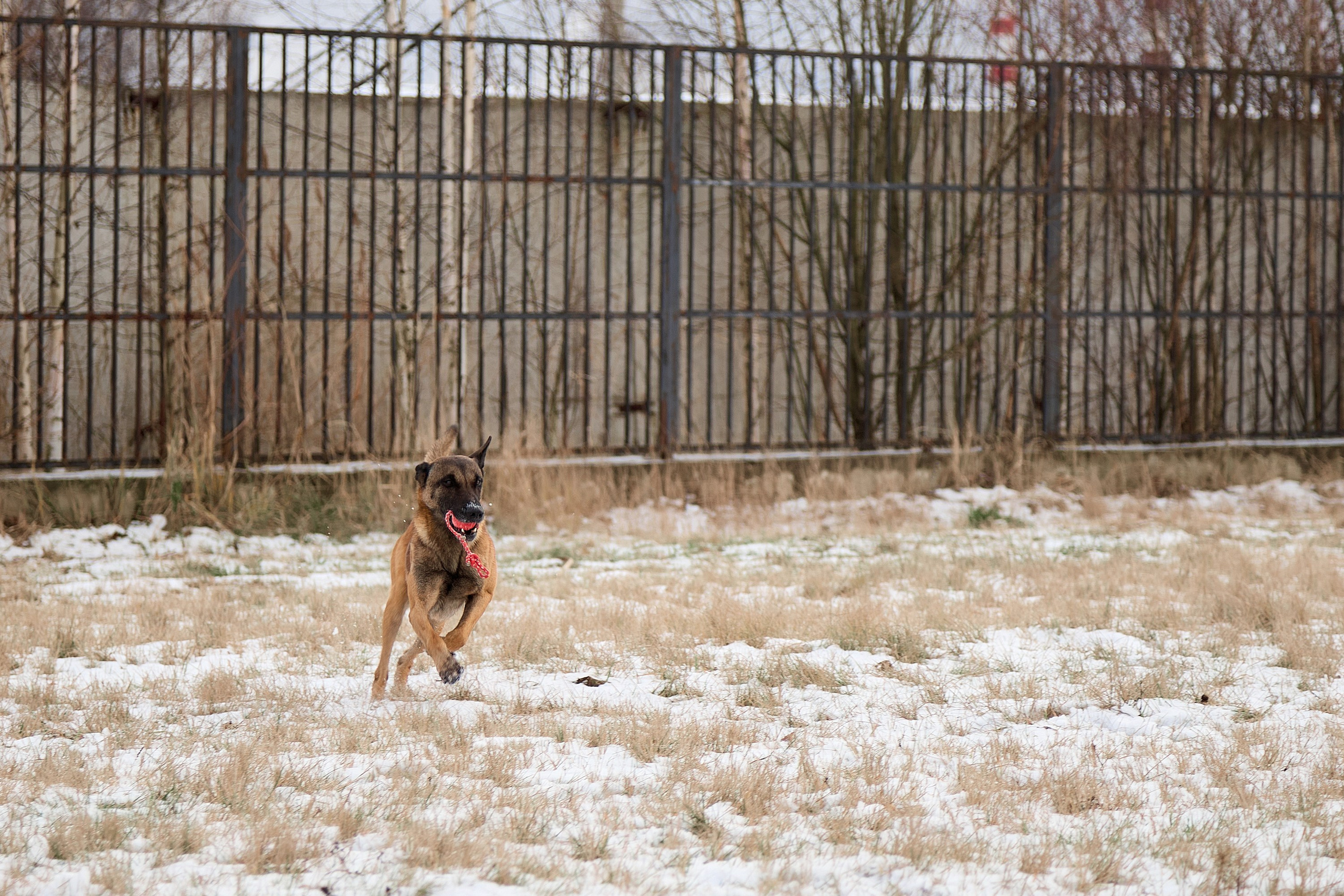 Юниор Профи 2025. Портретный фотограф Евгений Денисов