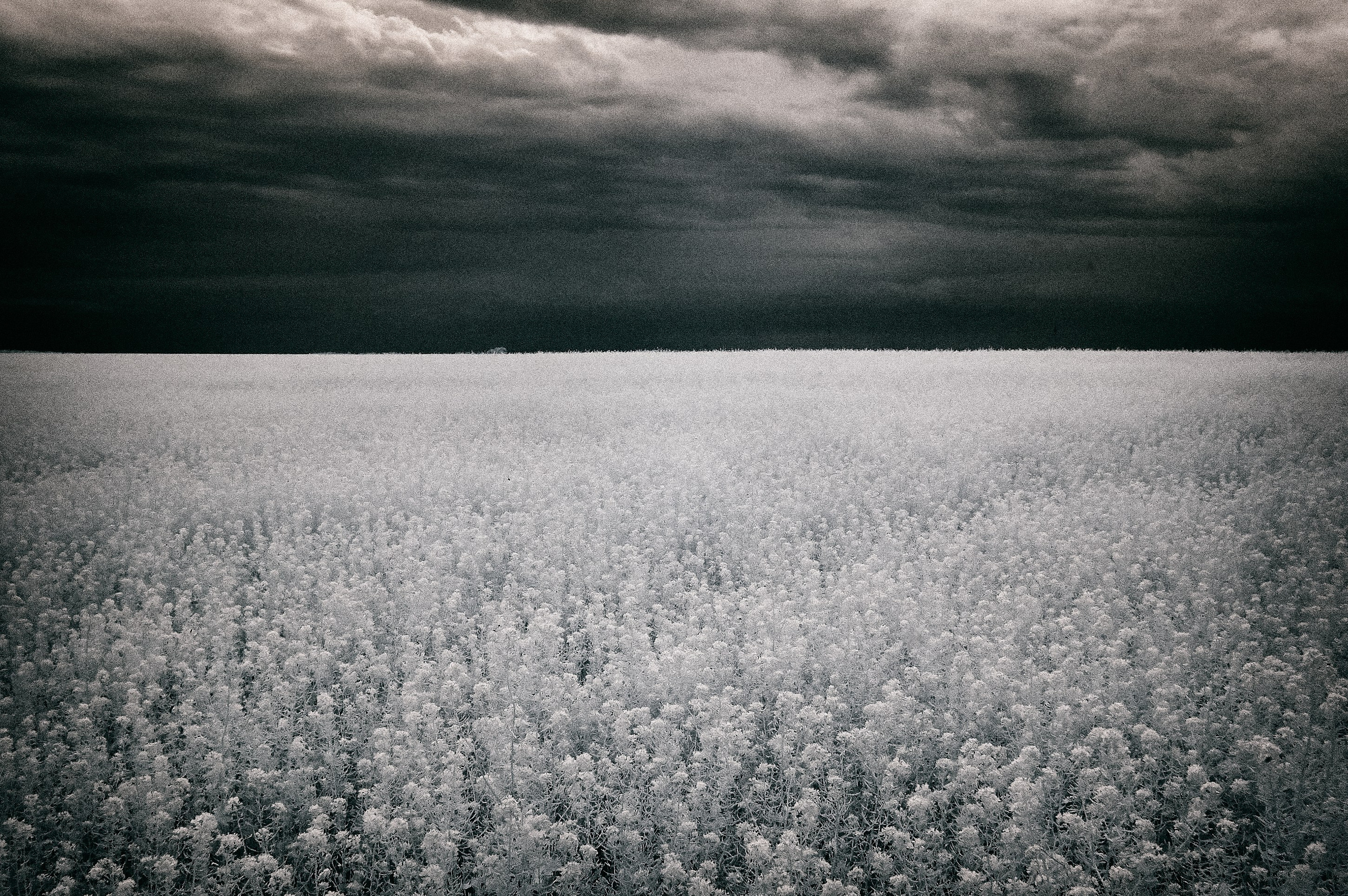Infrared Photography. Solofilms