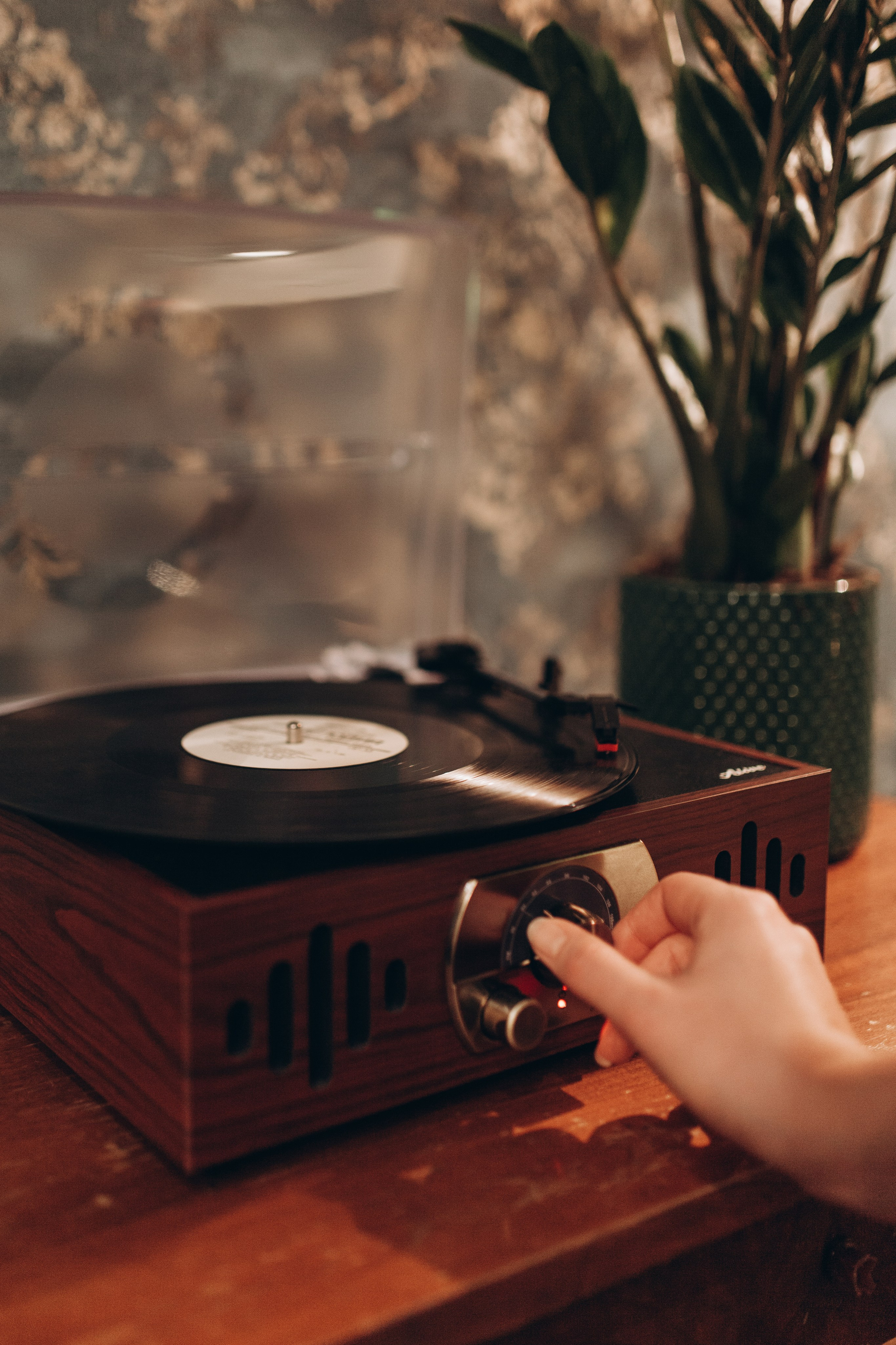 Мероприятия. Семейный фотограф Полина Сарина Москва