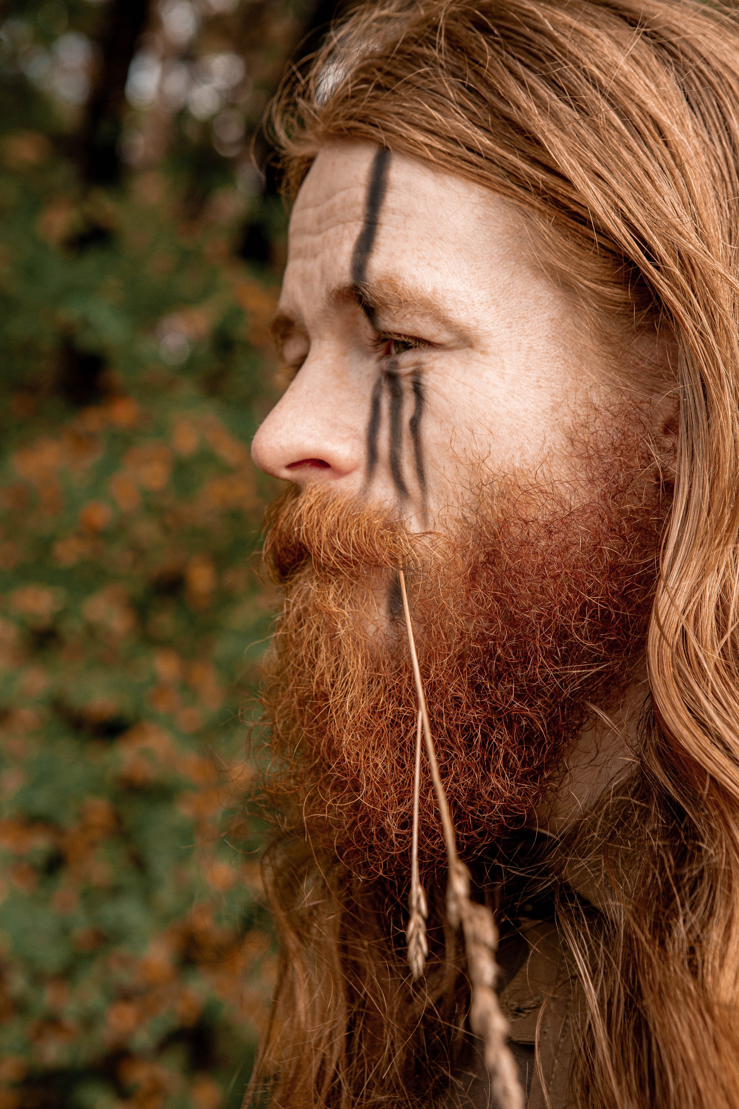 Волшебный лес. Фотограф Екатерина Голицына