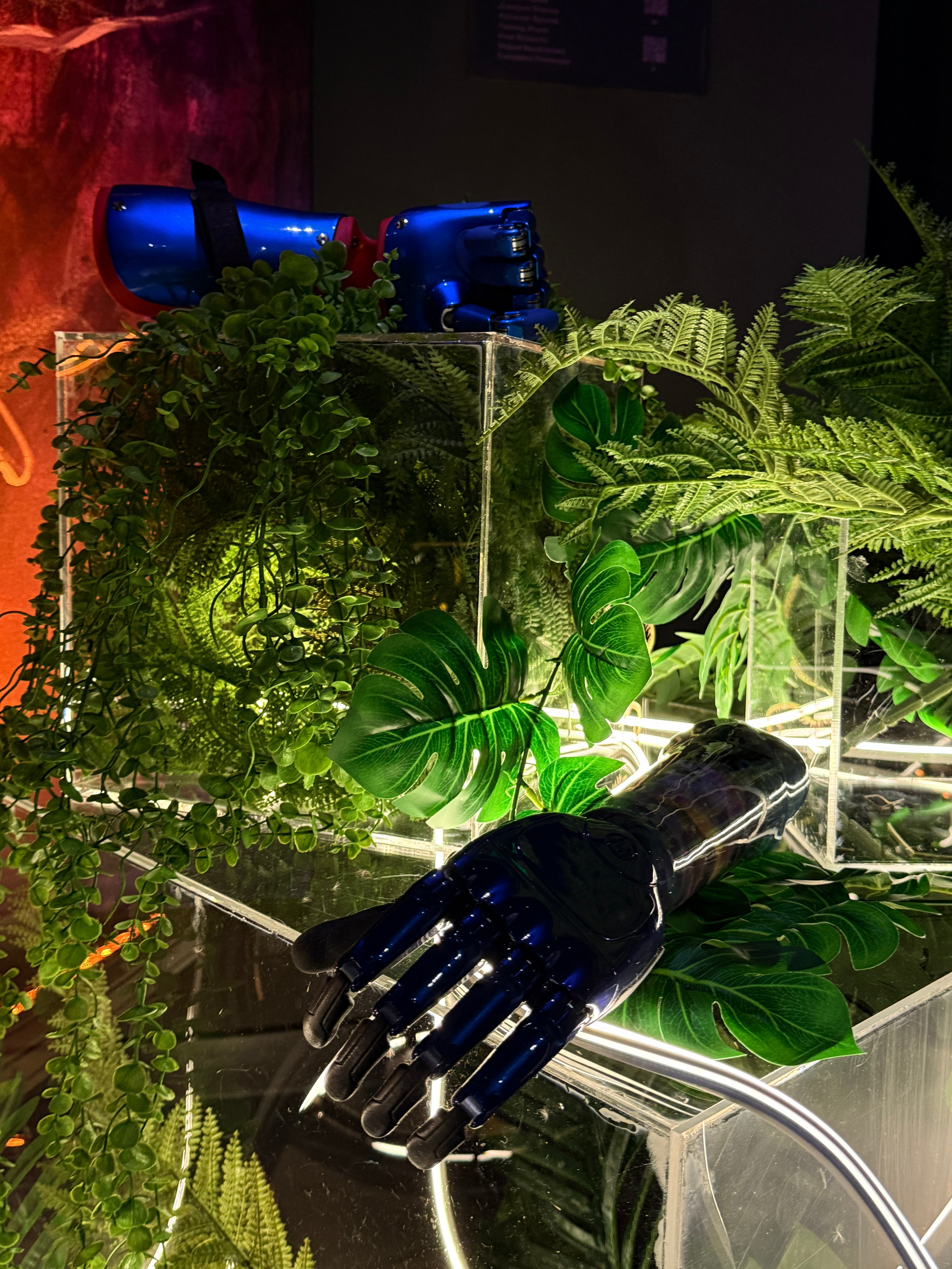 Motoriconf x. Фотограф Настя Лев