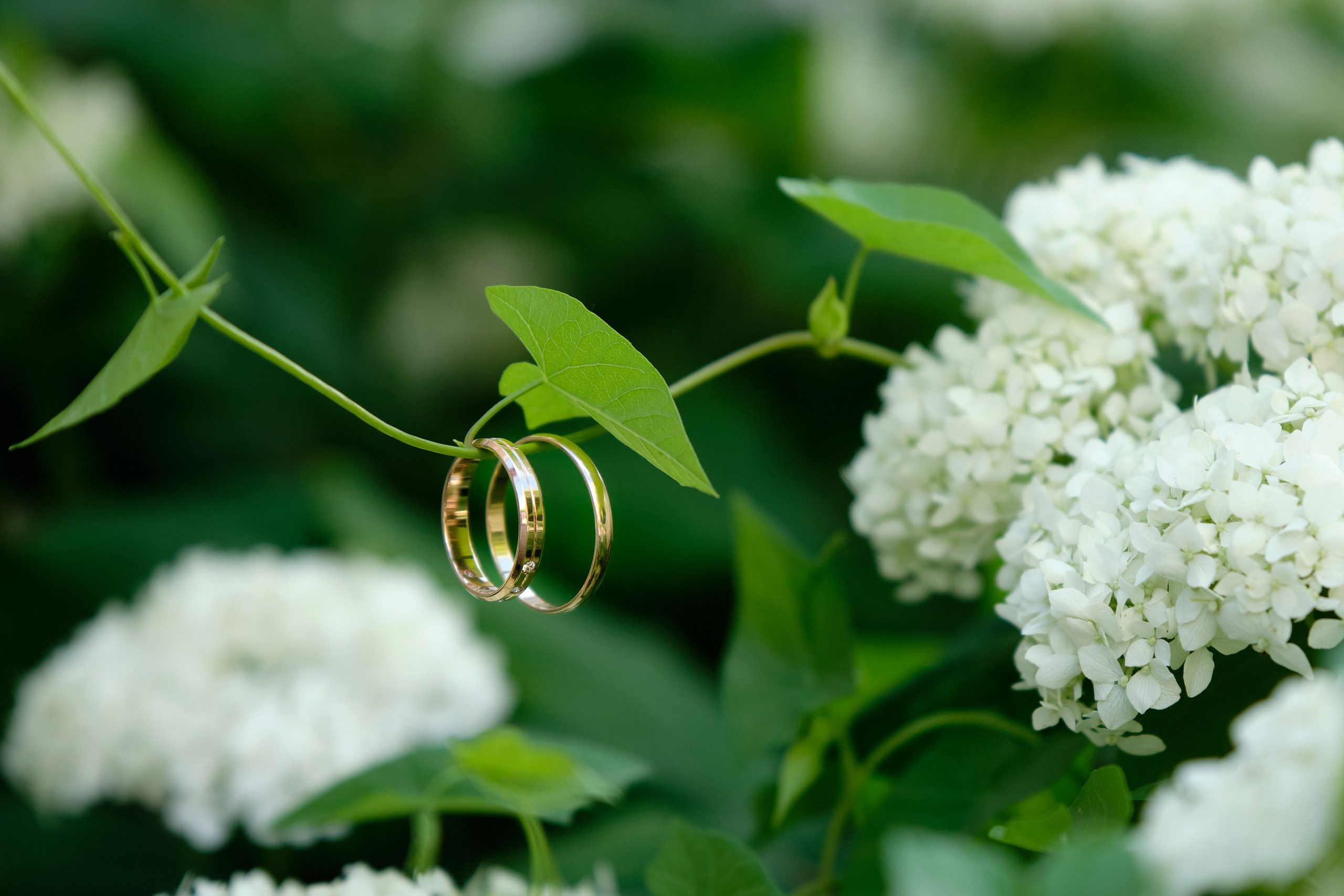 2020 Дарья и Вадим