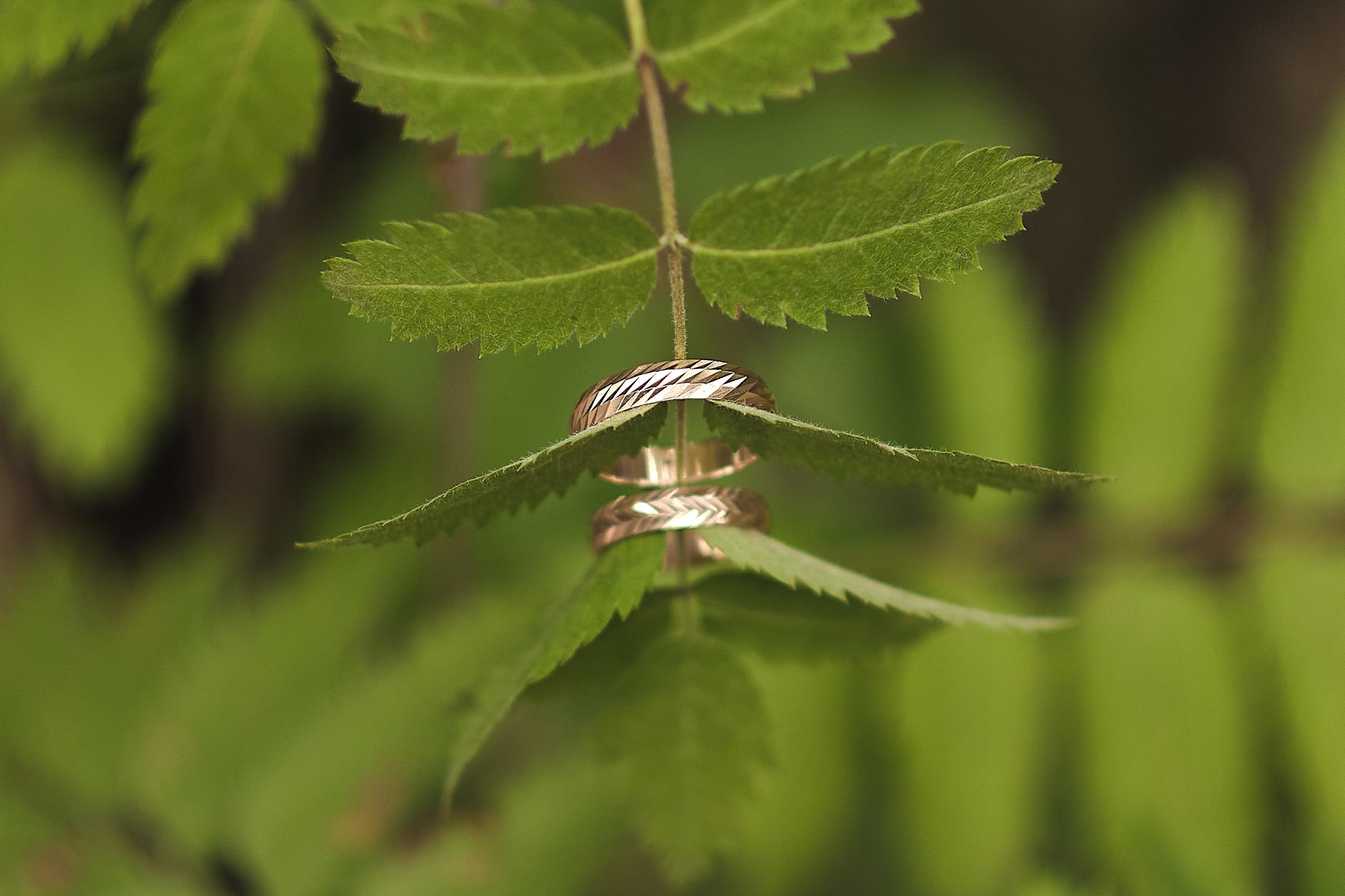 2020 Екатерина и Алексей