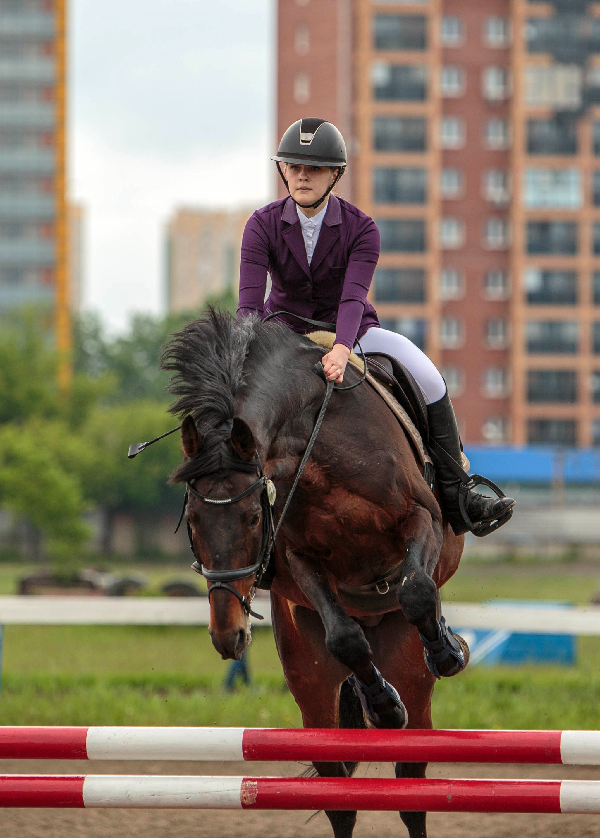 2024. Конный фотограф в Красноярске — Любовь Похабова