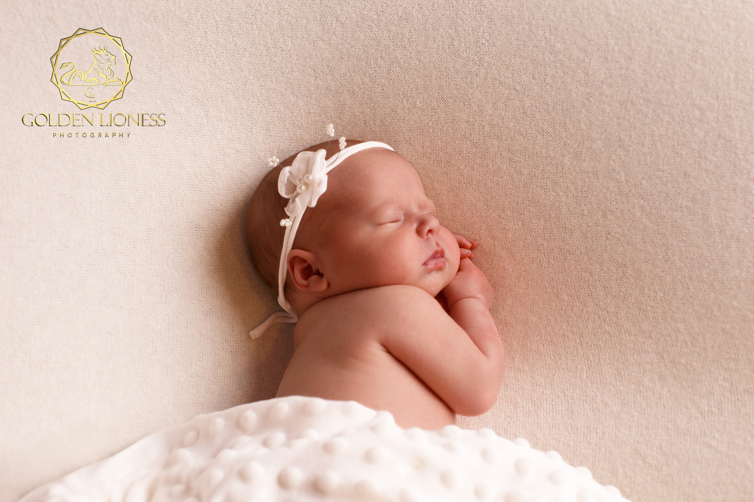 Галерея. GoldenLioness | Фотосессия новорожденных детей (newborn) Москва