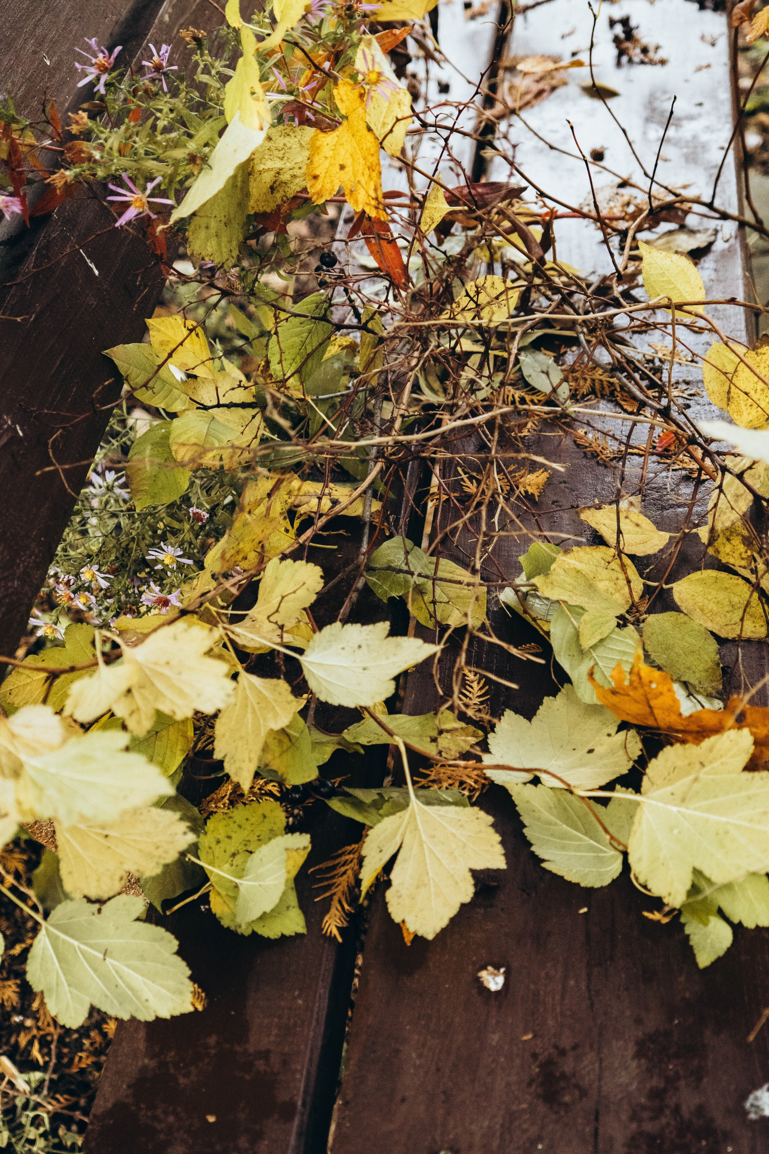 Съемка студии «Аж уютно». Фотограф Москва Валерия Веденина