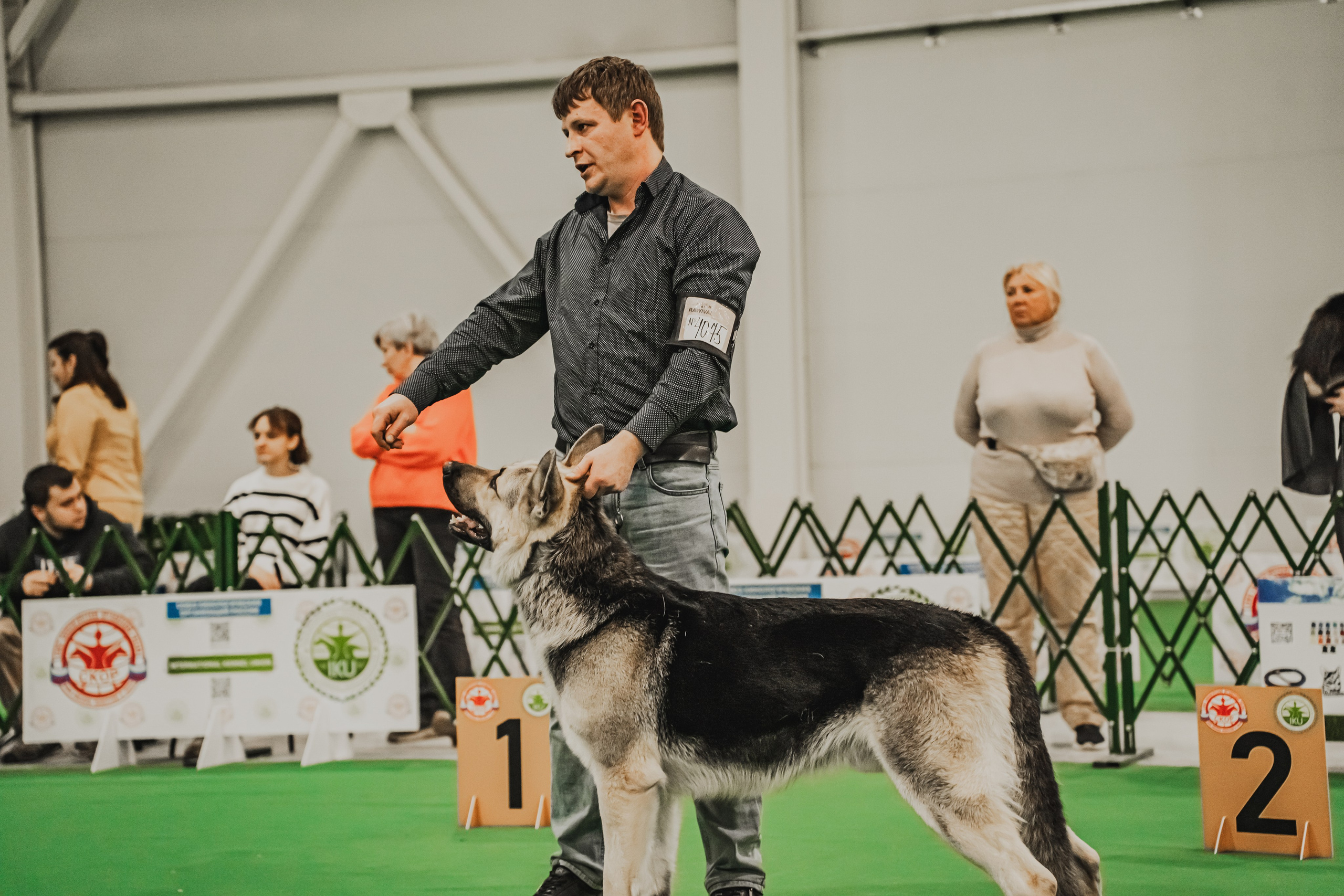Международная выставка собак всех пород. Репортажный фотограф Анастасия Рубцова