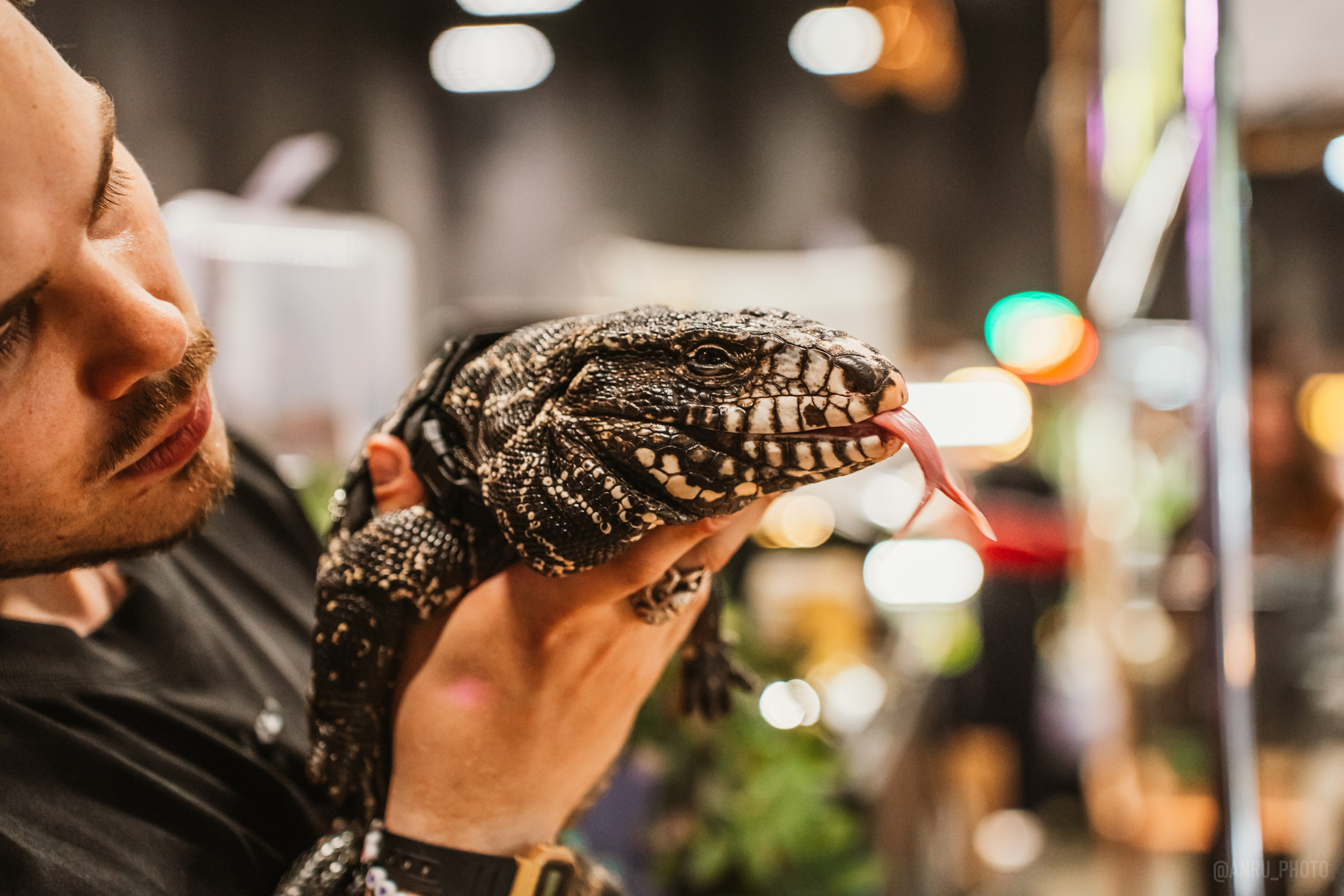 Рептилиум. Репортажный фотограф Анастасия Рубцова