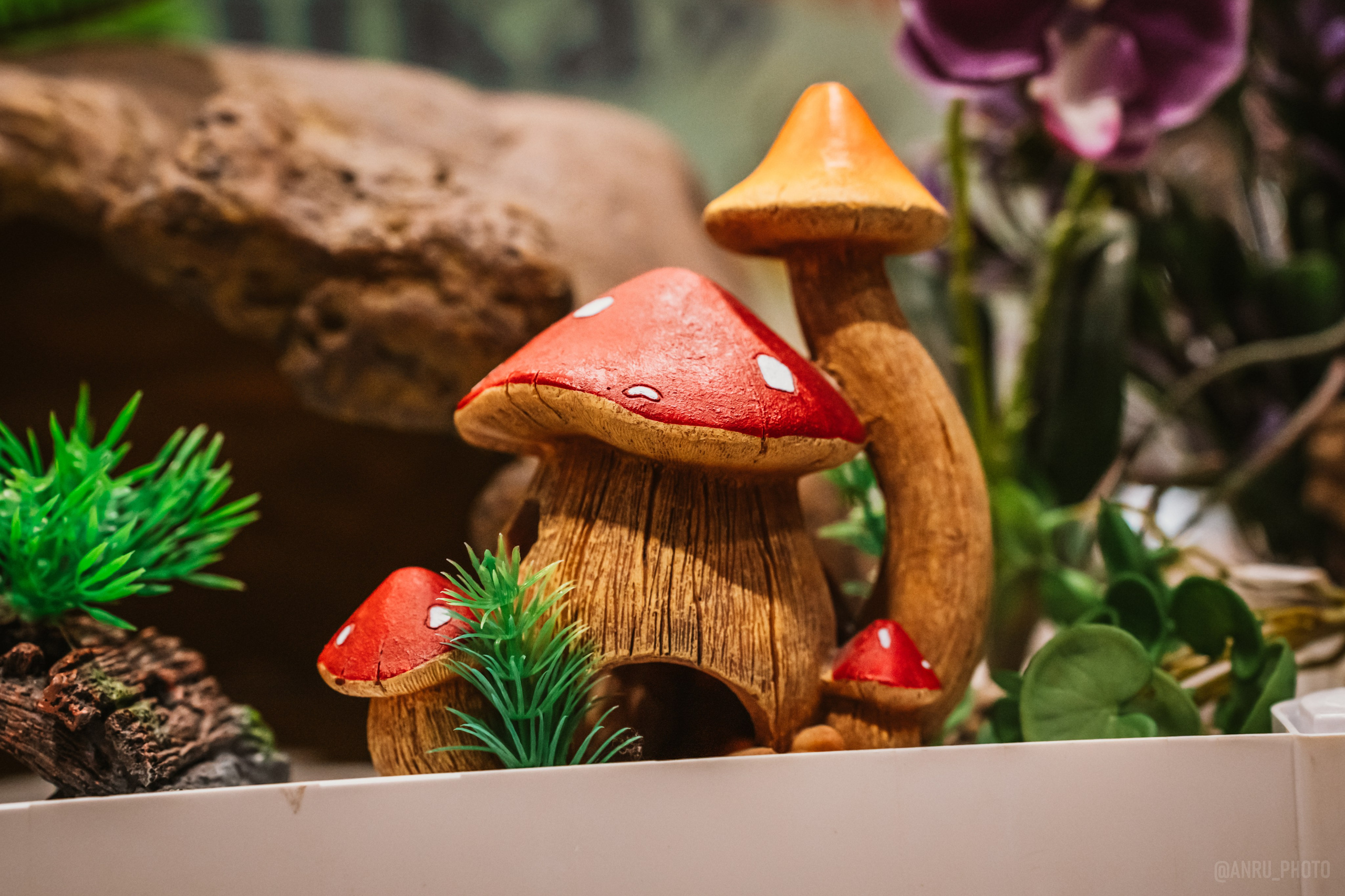 Рептилиум (ручная работа). Репортажный фотограф Анастасия Рубцова