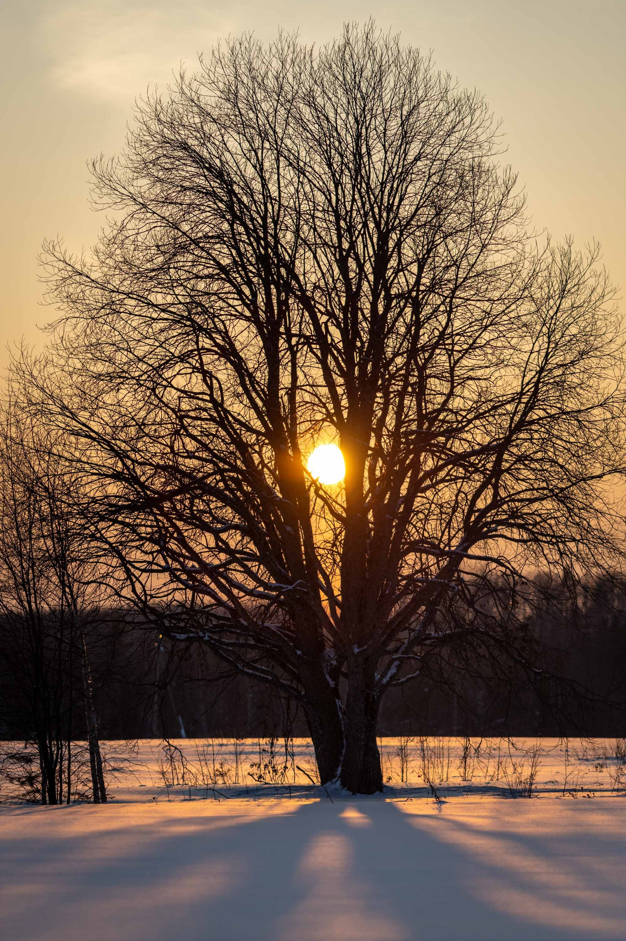 Природные пейзажи. Наталия Клевинскас портретный фотограф в Костроме