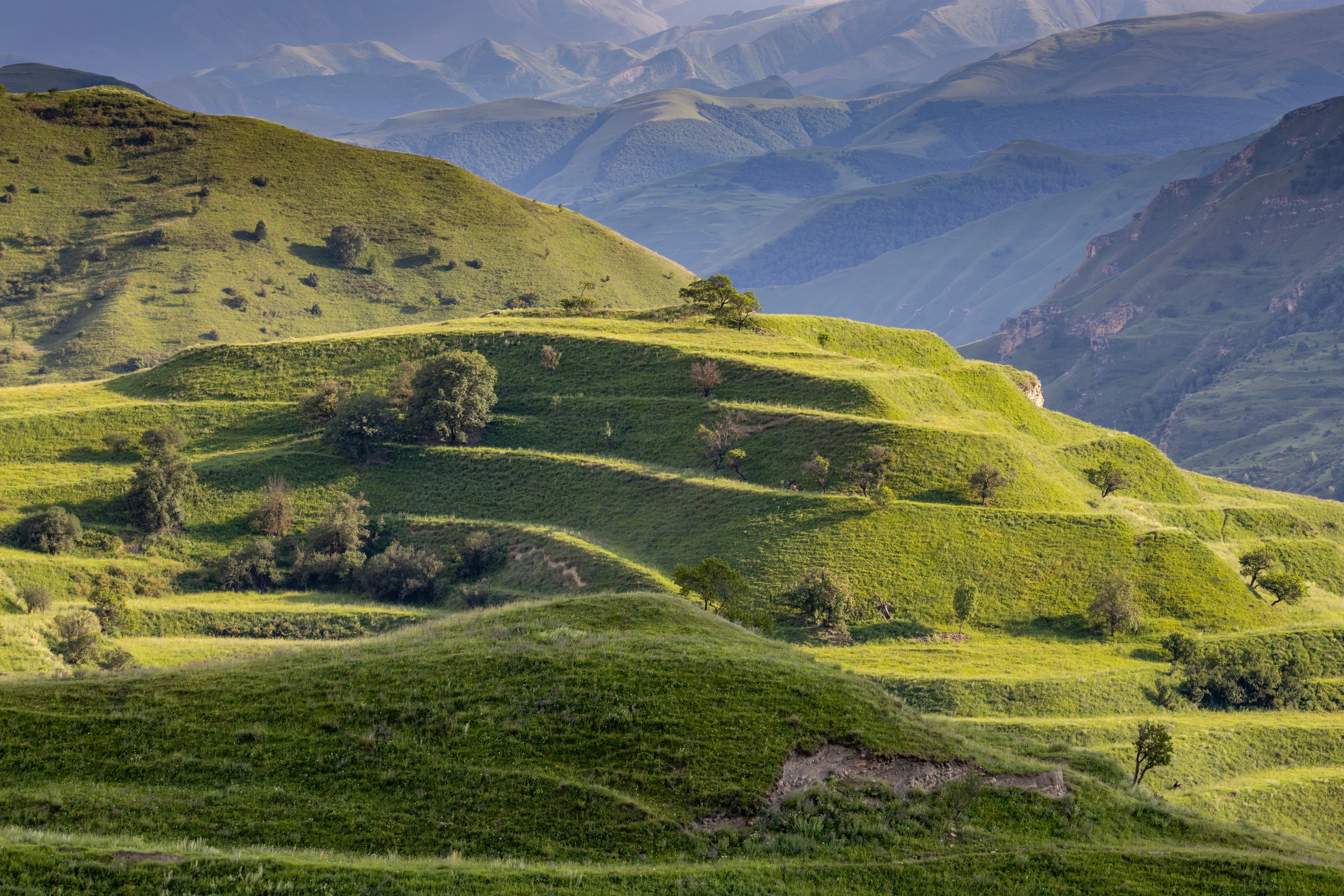 Макс По — фото и видео съемки любого формата
