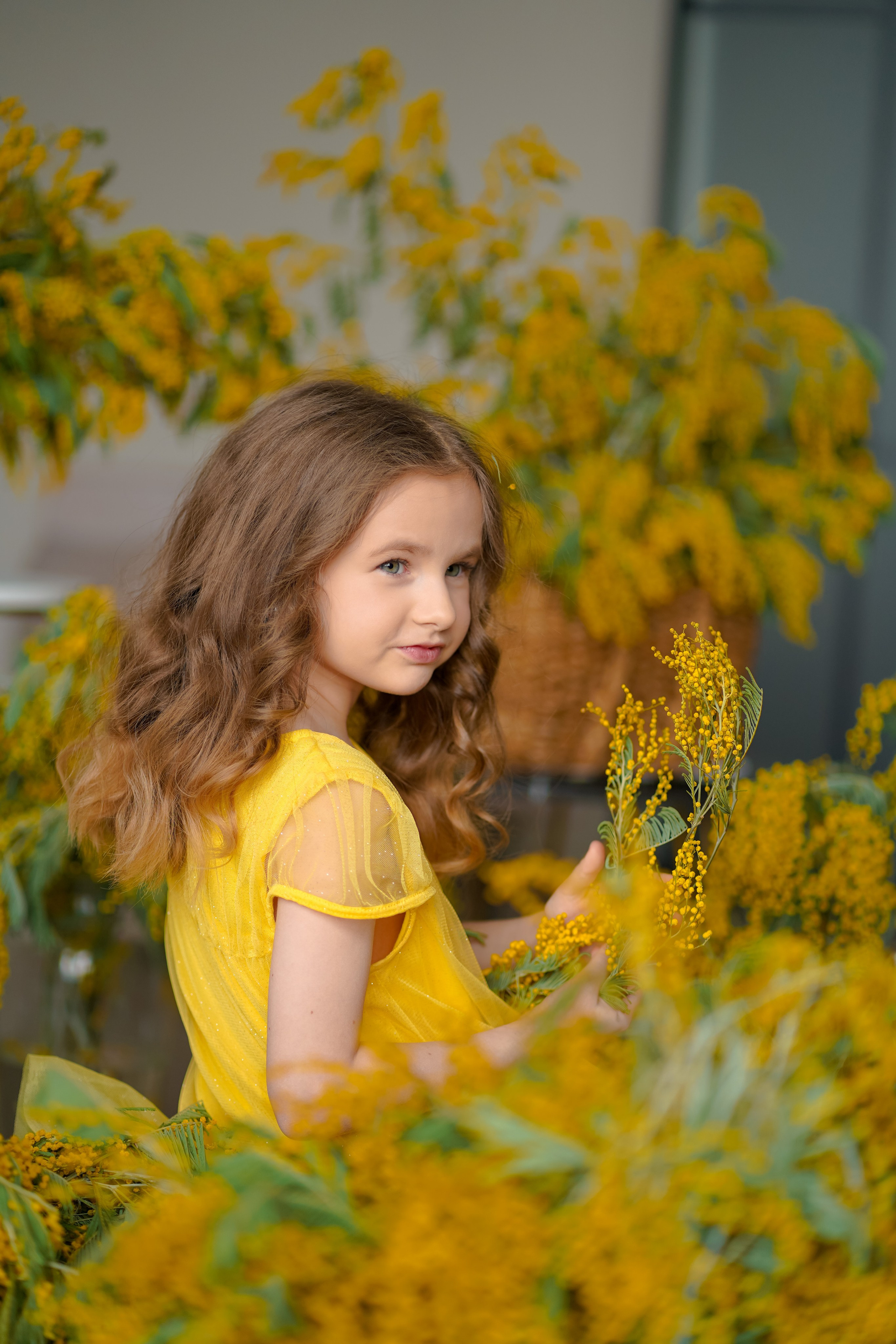 Мимоза. Фотограф Татьяна Митрофанова