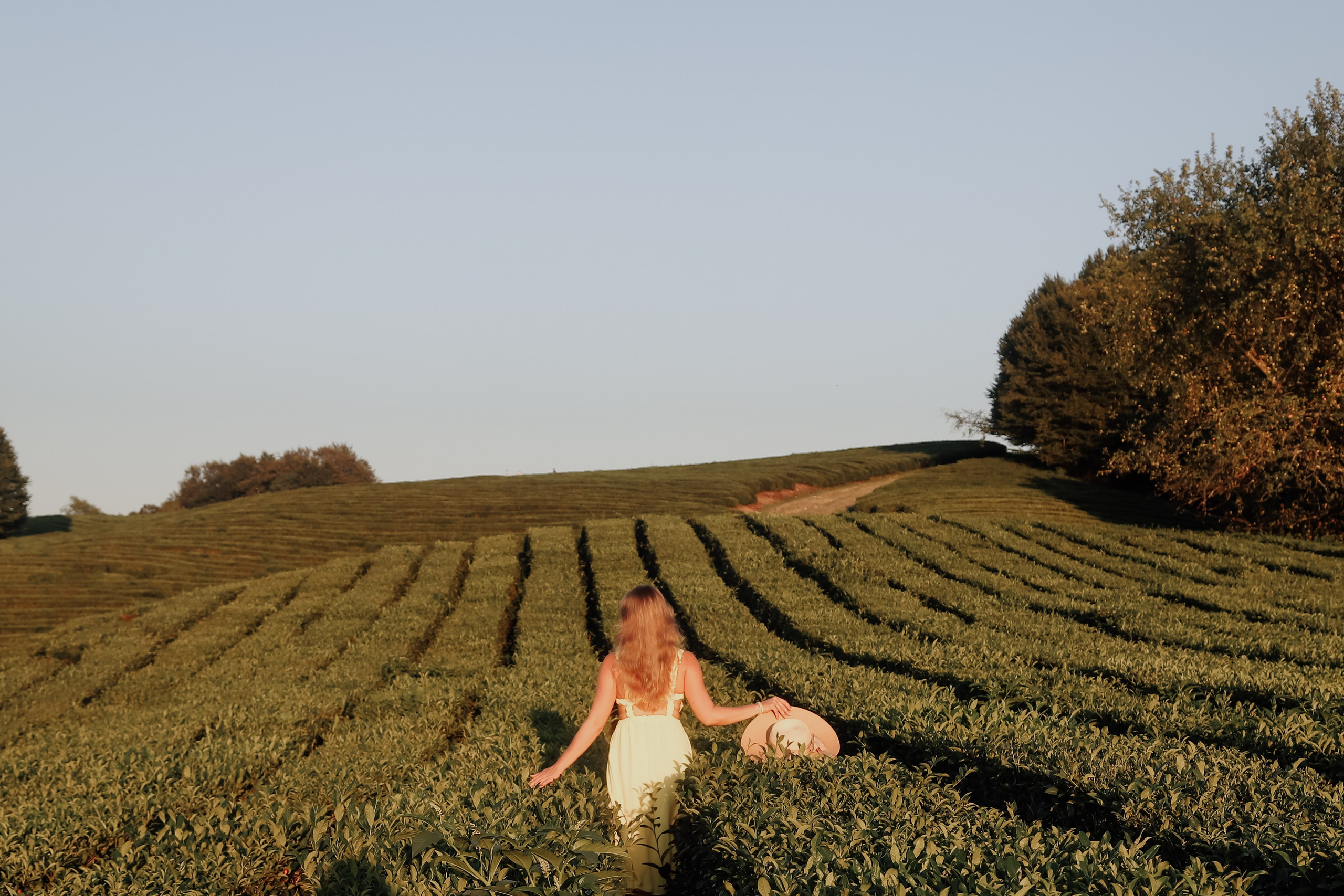 Юлия. Свадебный, семейный, детский фотограф в Сочи Виолетта Александрова