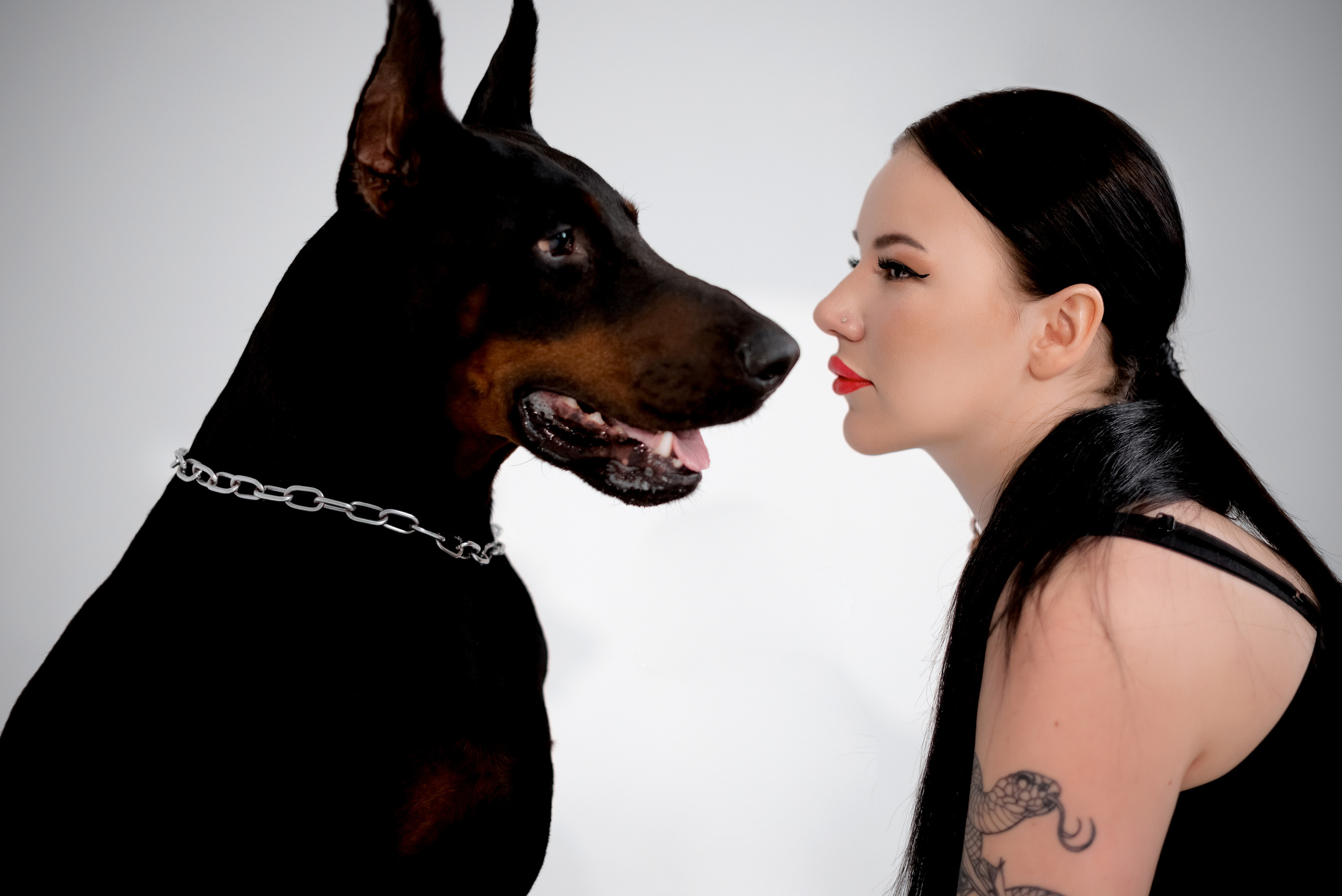 Фотосессия с доберманом. Семейный, индивидуальный, контент фотограф Москва