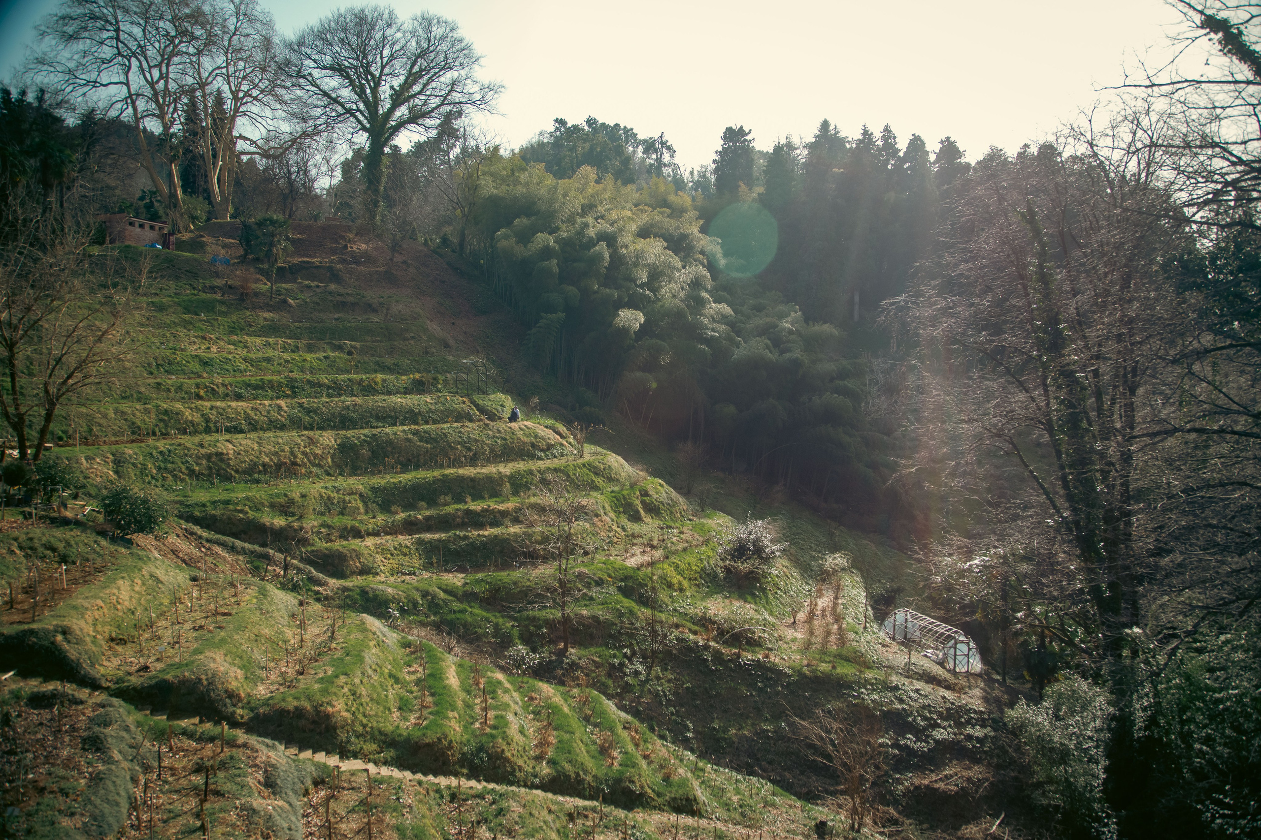 Batumi. Dmitriy [KCCC] is a pretty cool photographer