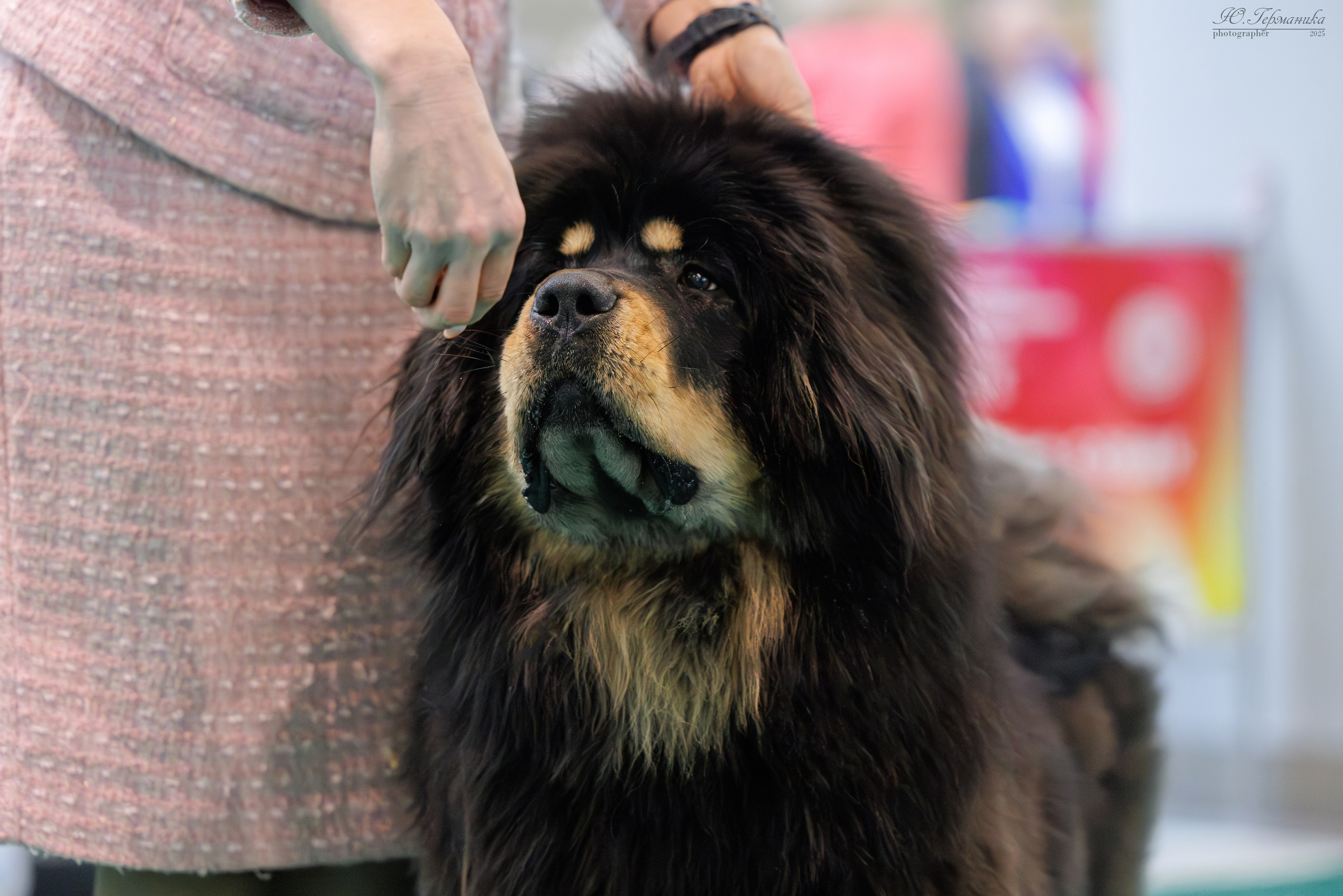 Минск 1-2.03.2025. Фотограф-анималист Юлия Германика