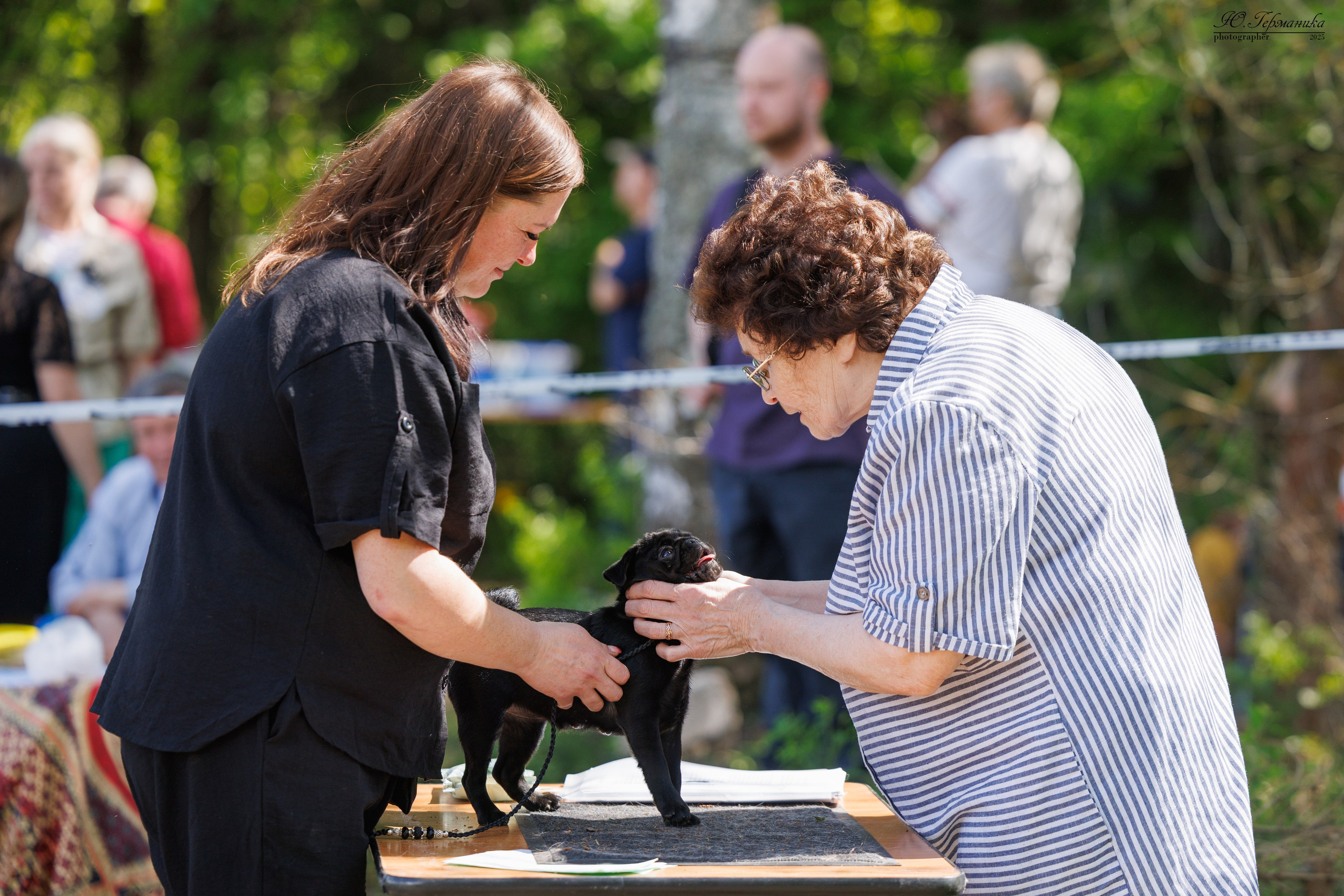 Тверь 24.05.2025. Фотограф-анималист Юлия Германика