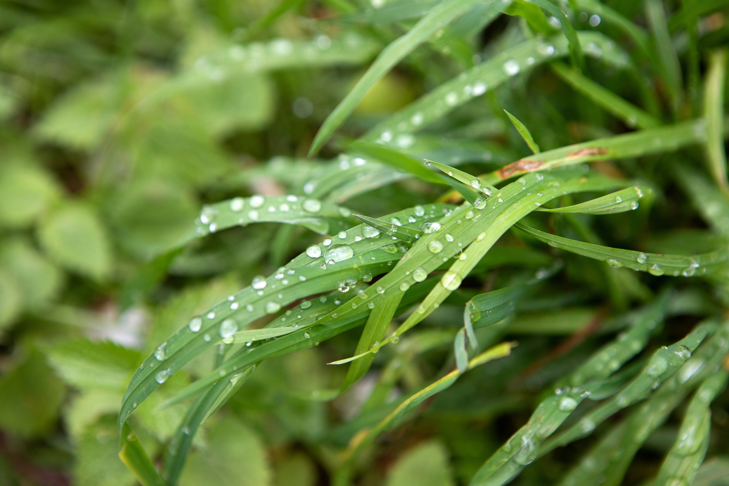 Коломенское. Портретная фотосъёмка, репортажная, контент для вашего бизнеса