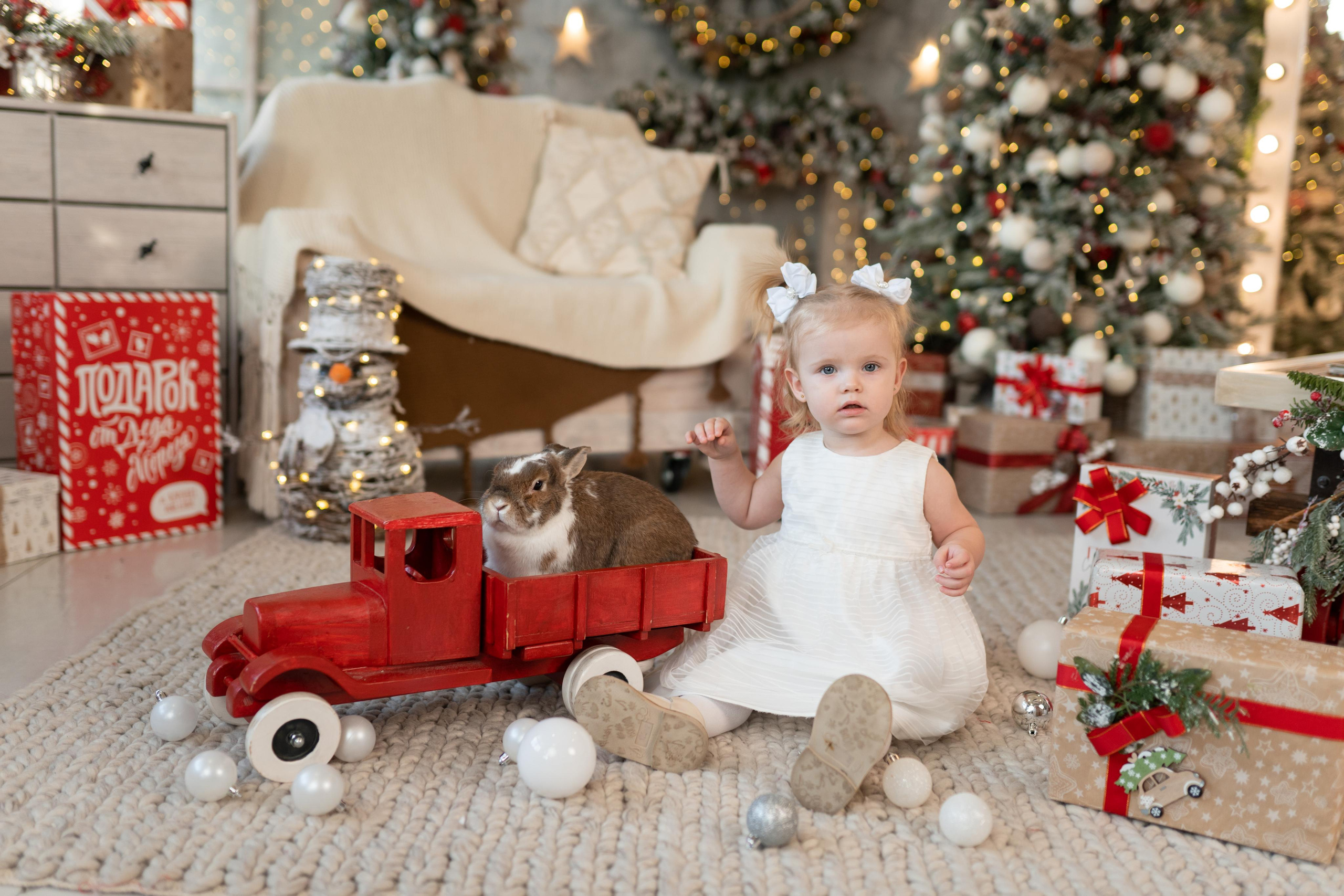 Новогодние съемки. Семейный и детский фотограф Долгопрудный, Мария Кухтарова