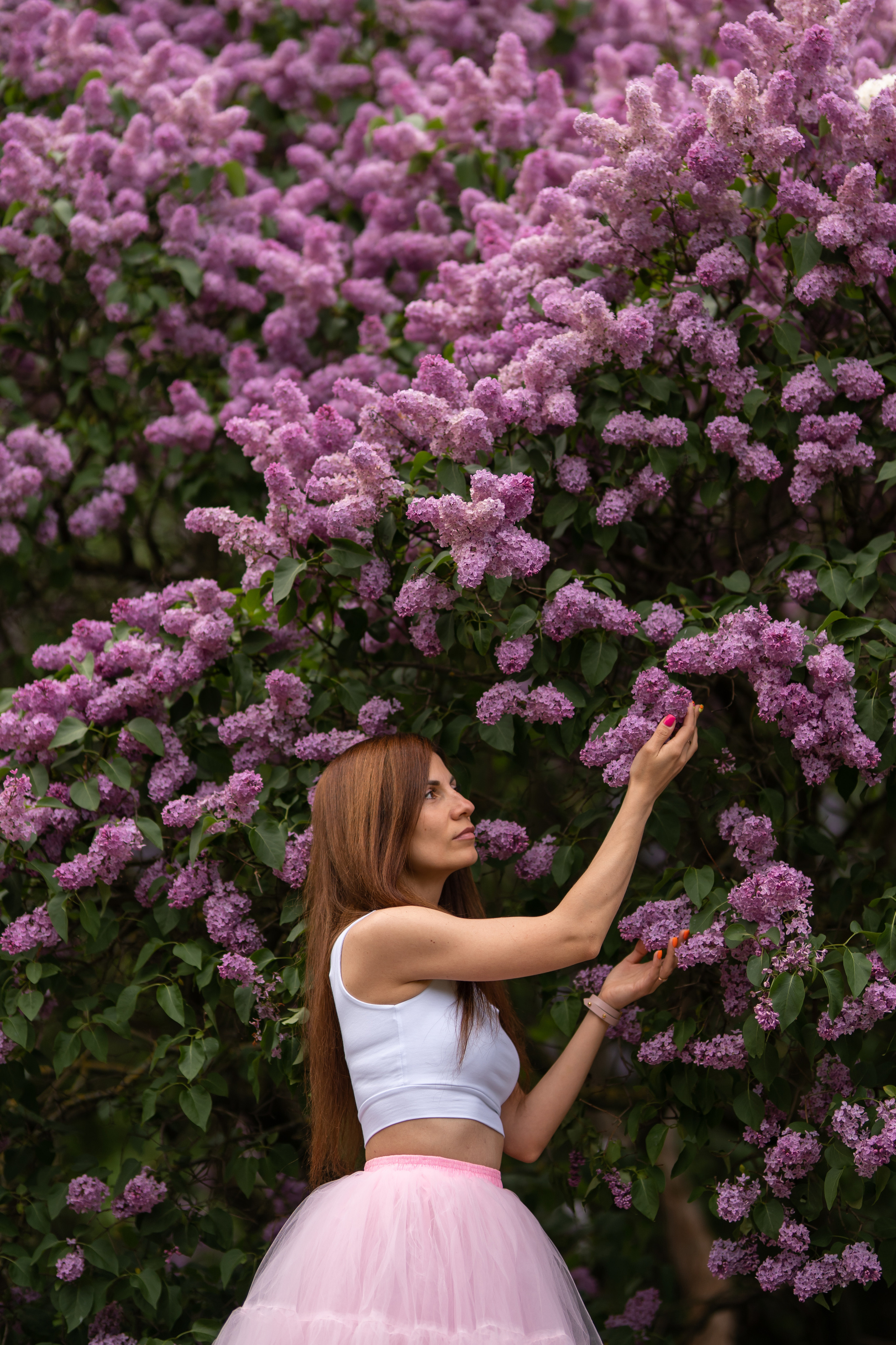 Цветение. Семейный и детский фотограф Долгопрудный, Мария Кухтарова