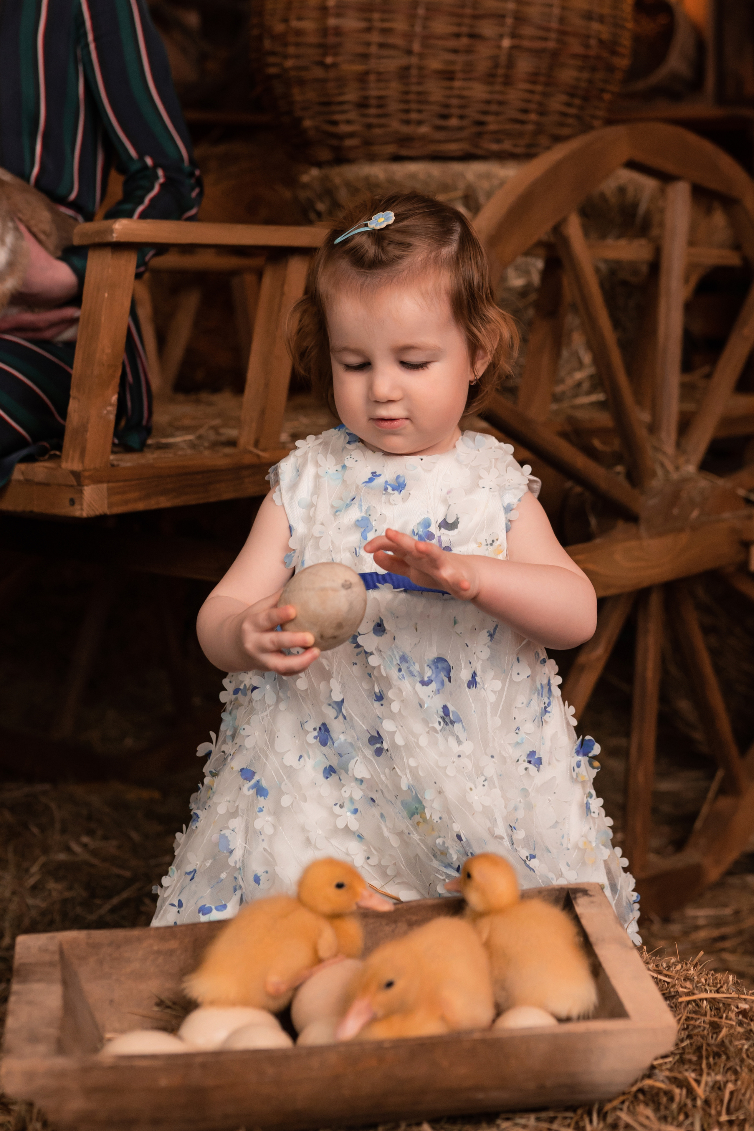 Детские. Семейный и детский фотограф Долгопрудный, Мария Кухтарова