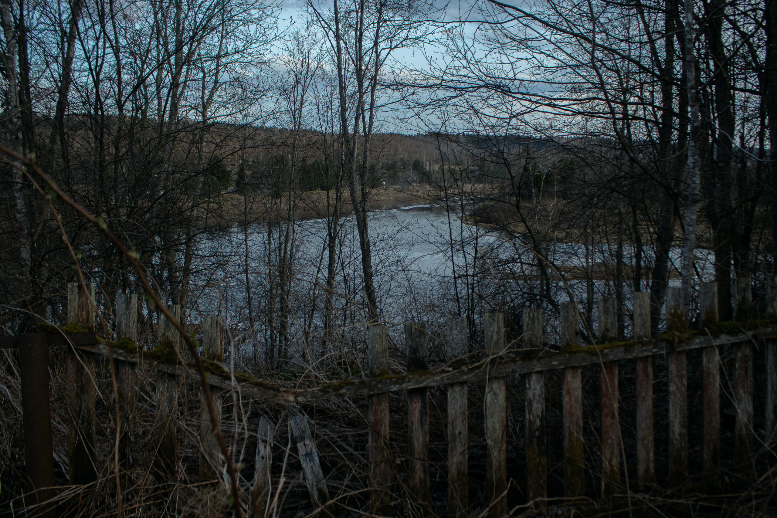 Вепсский ковчег. Полина Щапова БМК235 Медиаком — НИУ ВШЭ