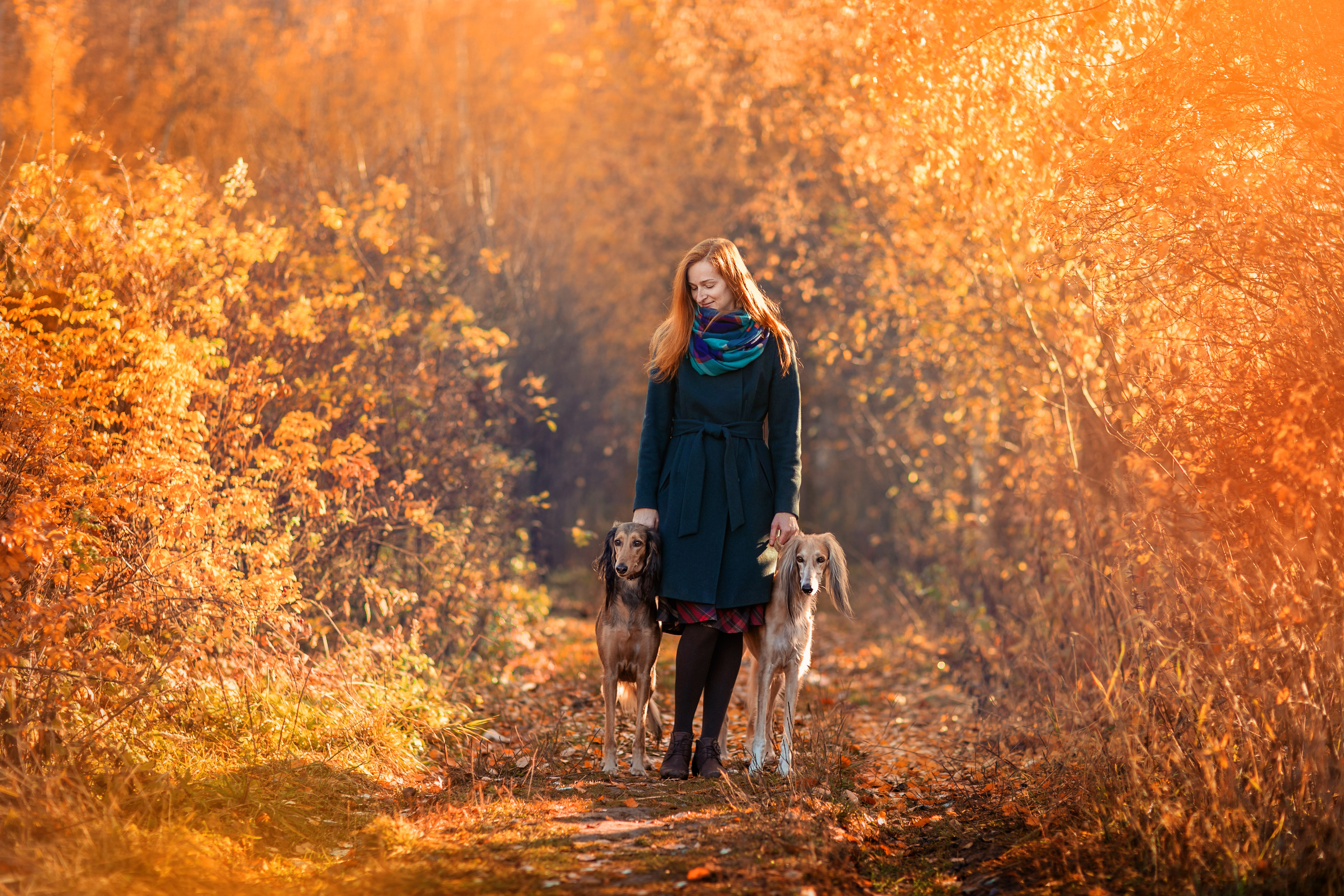 ОСЕНЬ. Дарья Бухреева — фотограф, видеограф и фототерапевт. Москва и мир