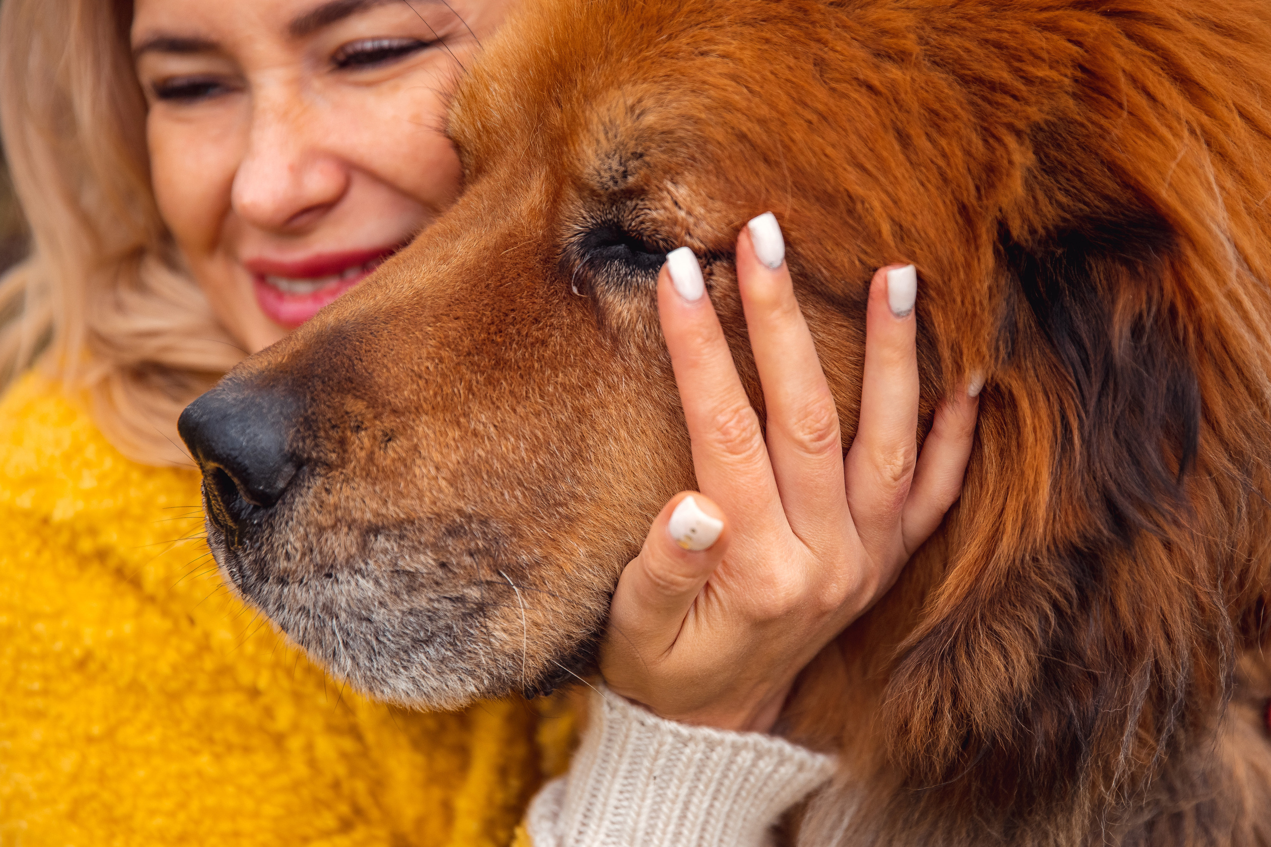 ОСЕНЬ. Дарья Бухреева — фотограф, видеограф и фототерапевт. Москва и мир